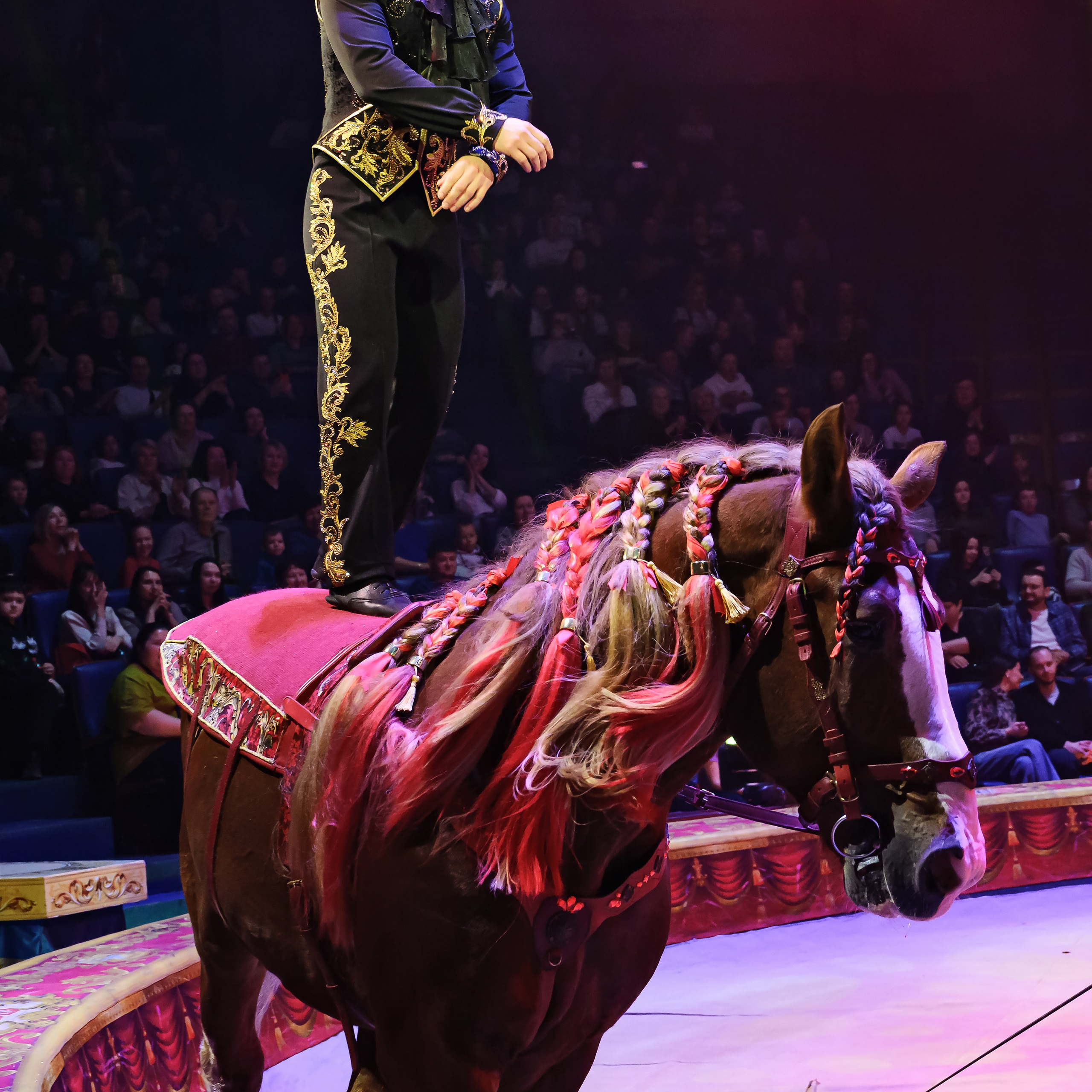 Royal Circus (новые номера). Фотограф Андрей Пухов (Jazz)