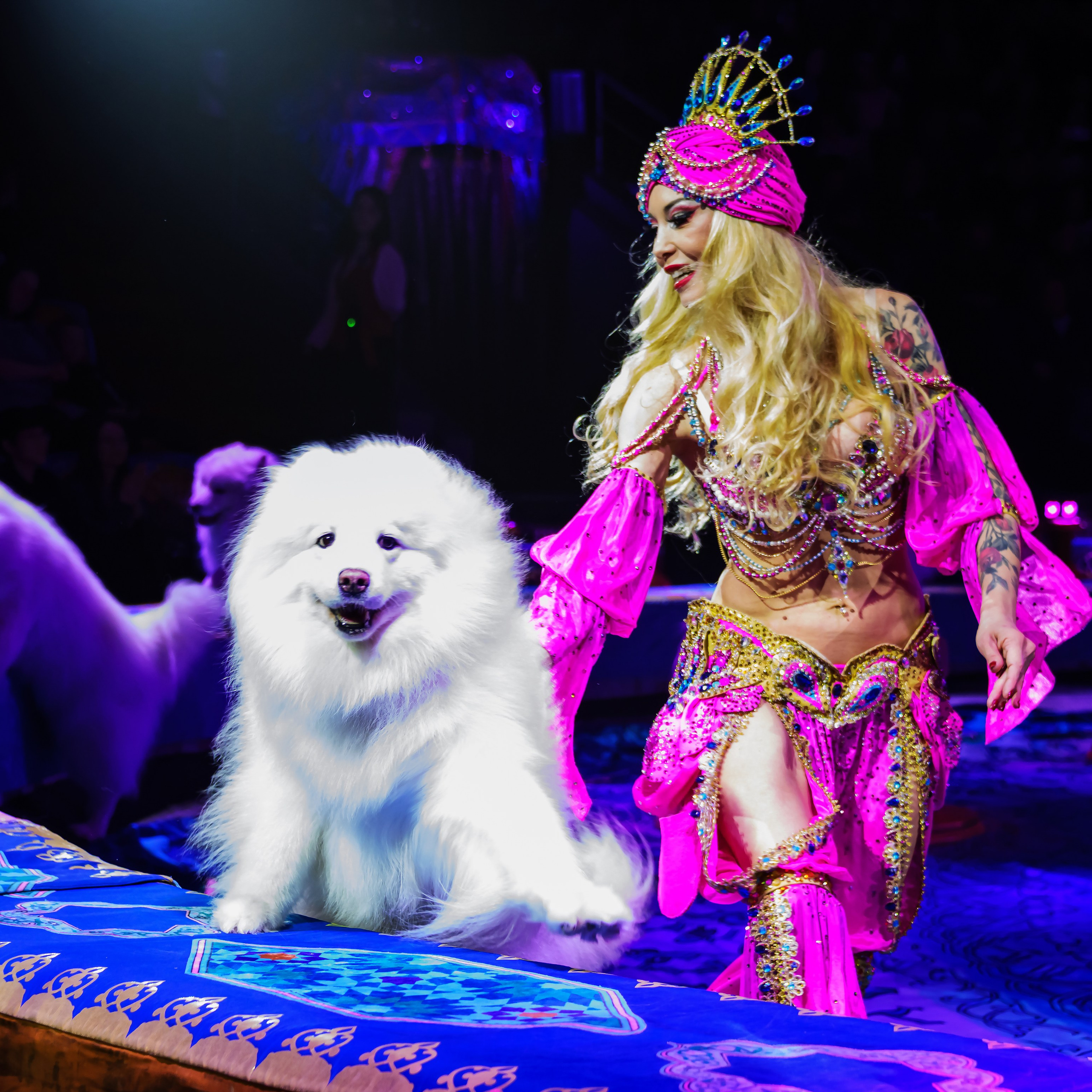 Песчаная сказка Гии Эрадзе — волшебное шоу 🎪, которое должен увидеть каждый, кто ценит красоту🌹, талант 🎭 и умение мечтать 💫. Цирковой фотограф Андрей Пухов (Jazz)