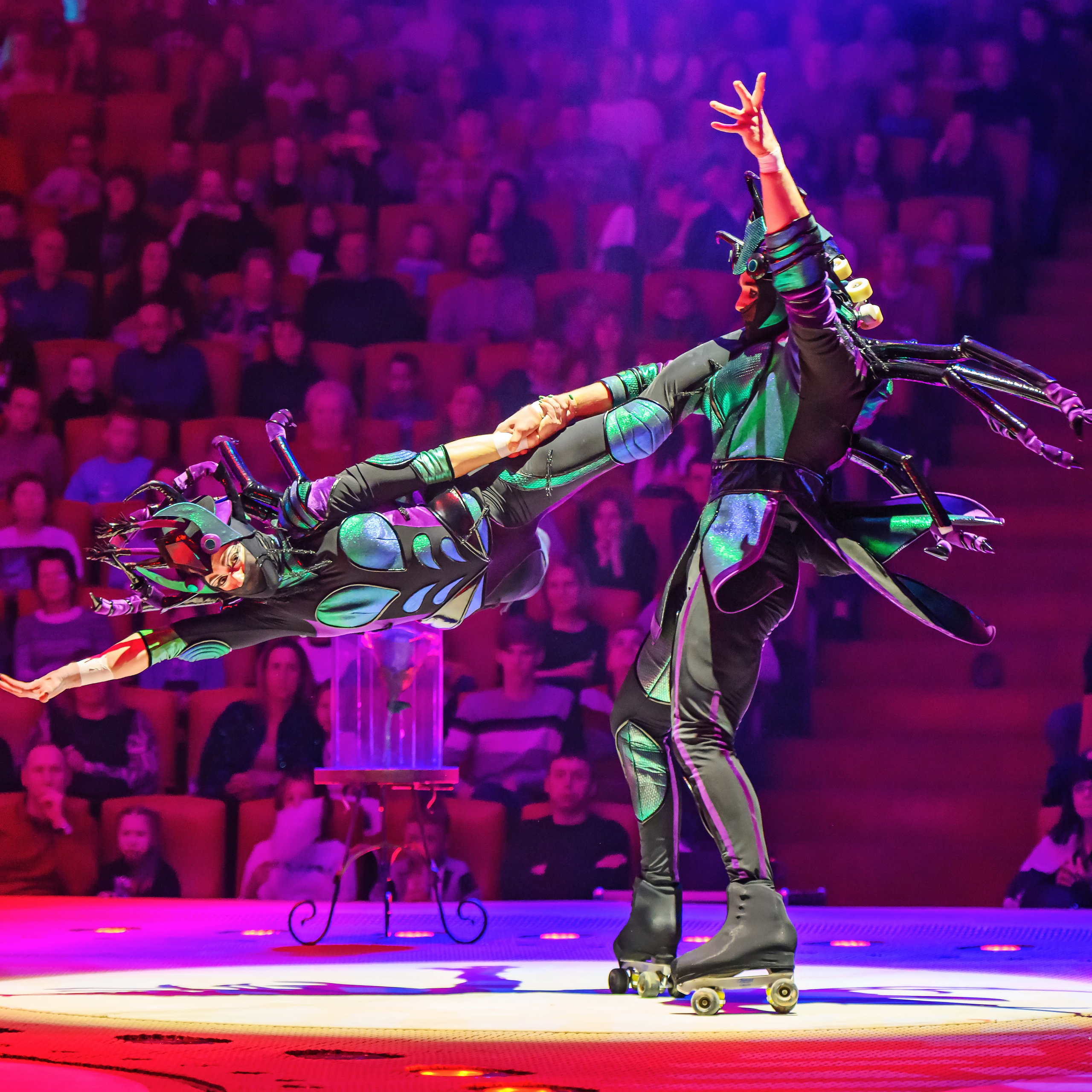 «13 месяцев. Шоу ледяных фонтанов»❄💙. Фотограф Андрей Пухов (Jazz)