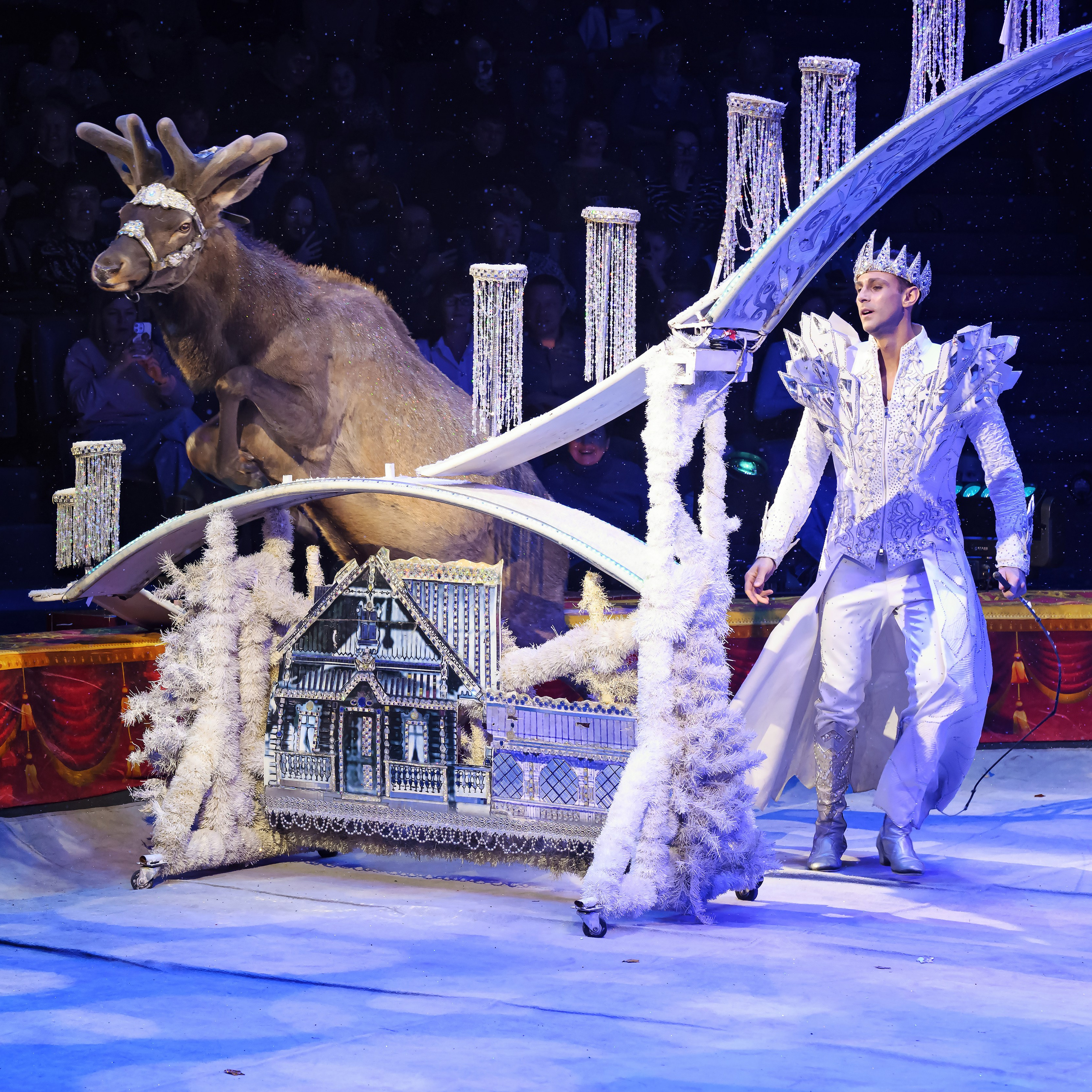 Шоу «Королевский цирк». Фотограф Андрей Пухов (Jazz)