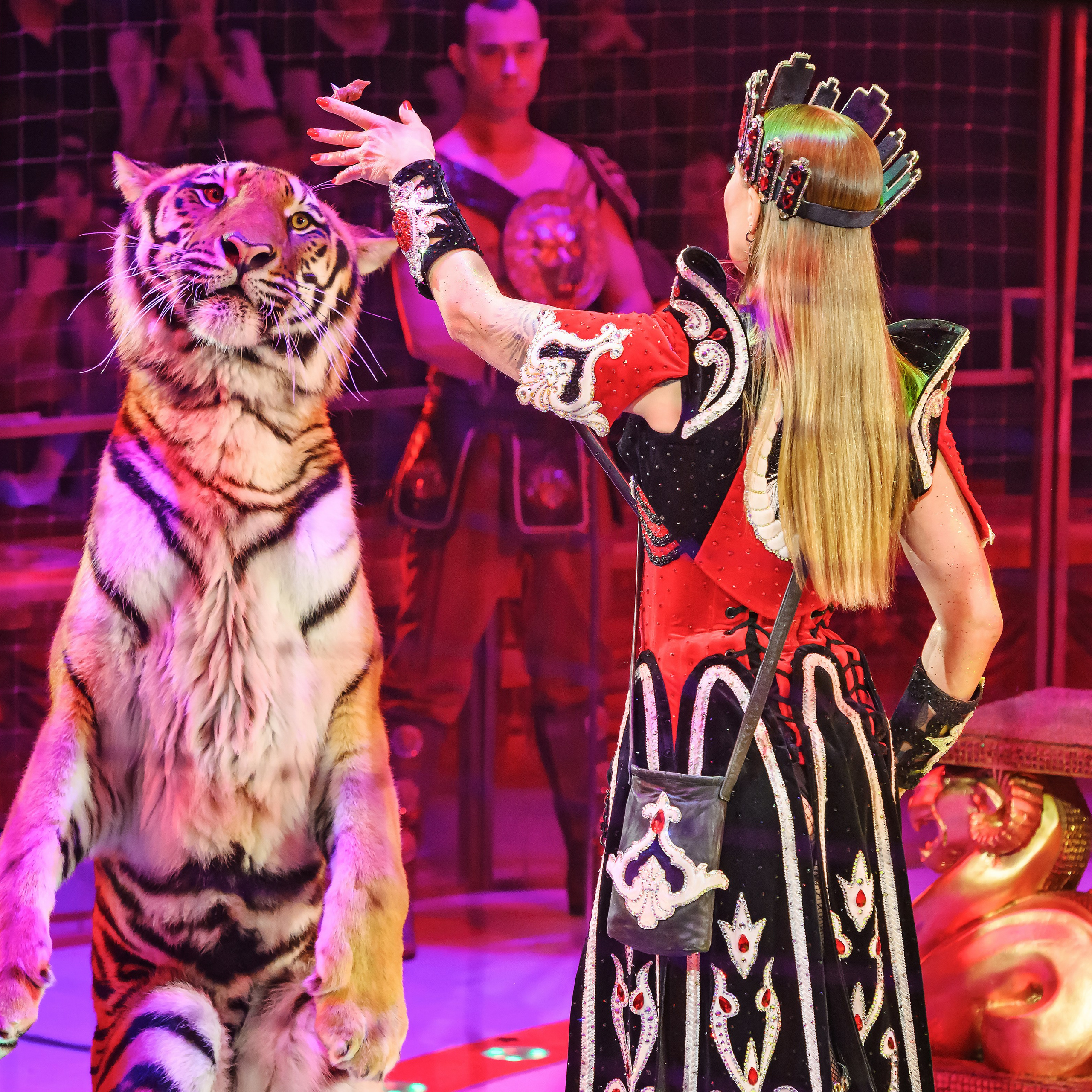 Королевский цирк ПРЕМЬЕРА НН. Фотограф Андрей Пухов (Jazz)