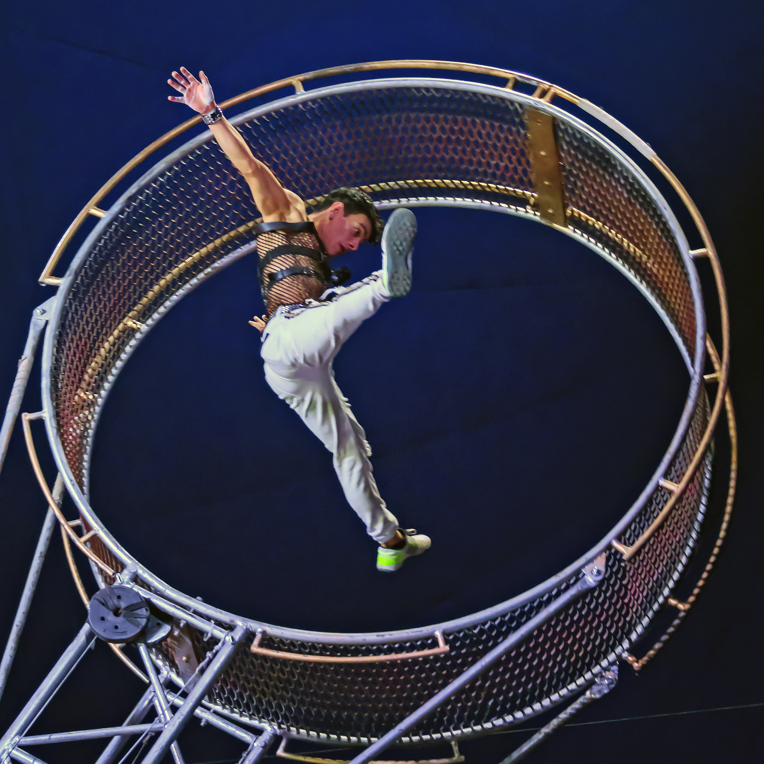 Шоу Демидовых. Цирковой фотограф Андрей Пухов (Jazz)