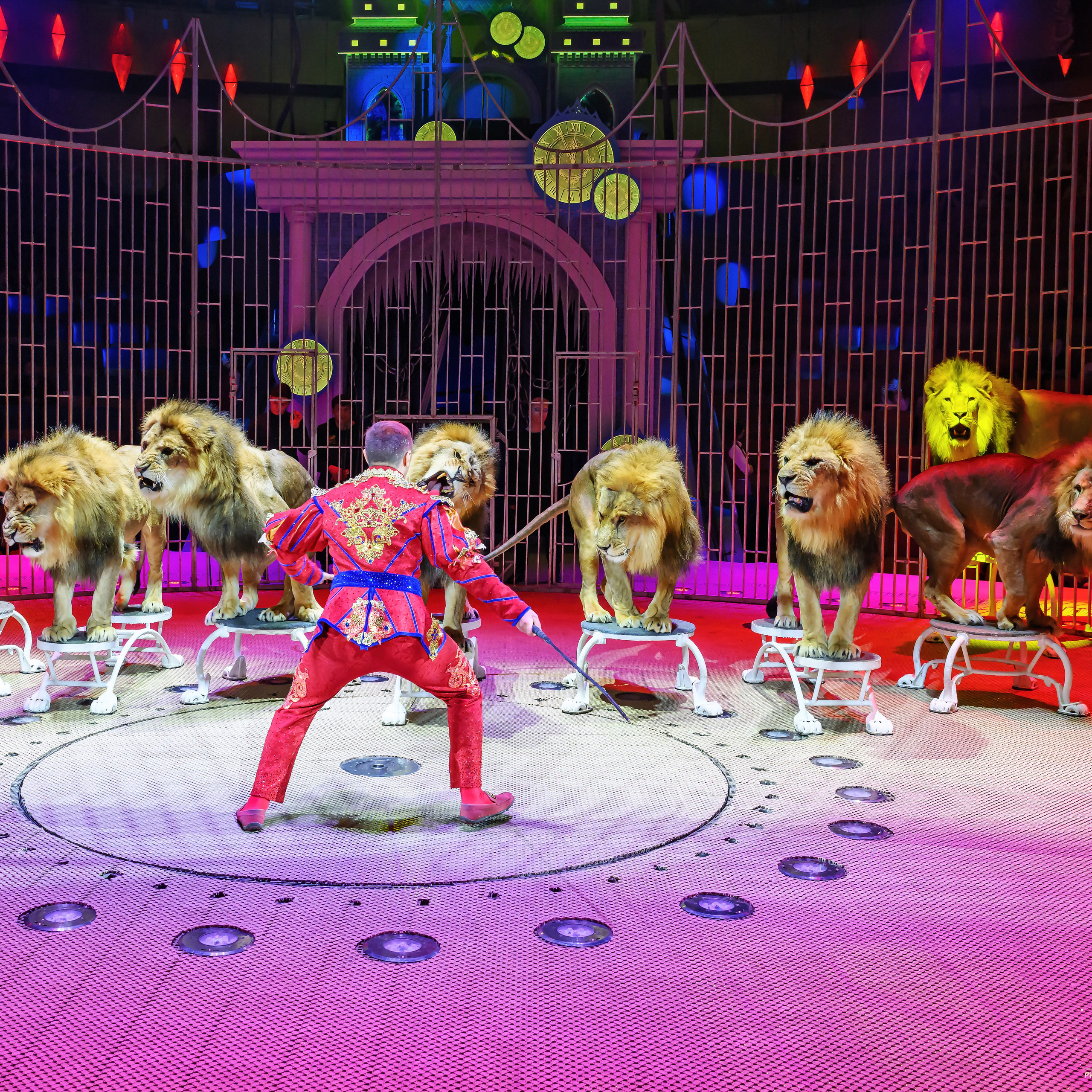 «13 месяцев. Шоу ледяных фонтанов»❄💙. Фотограф Андрей Пухов (Jazz)