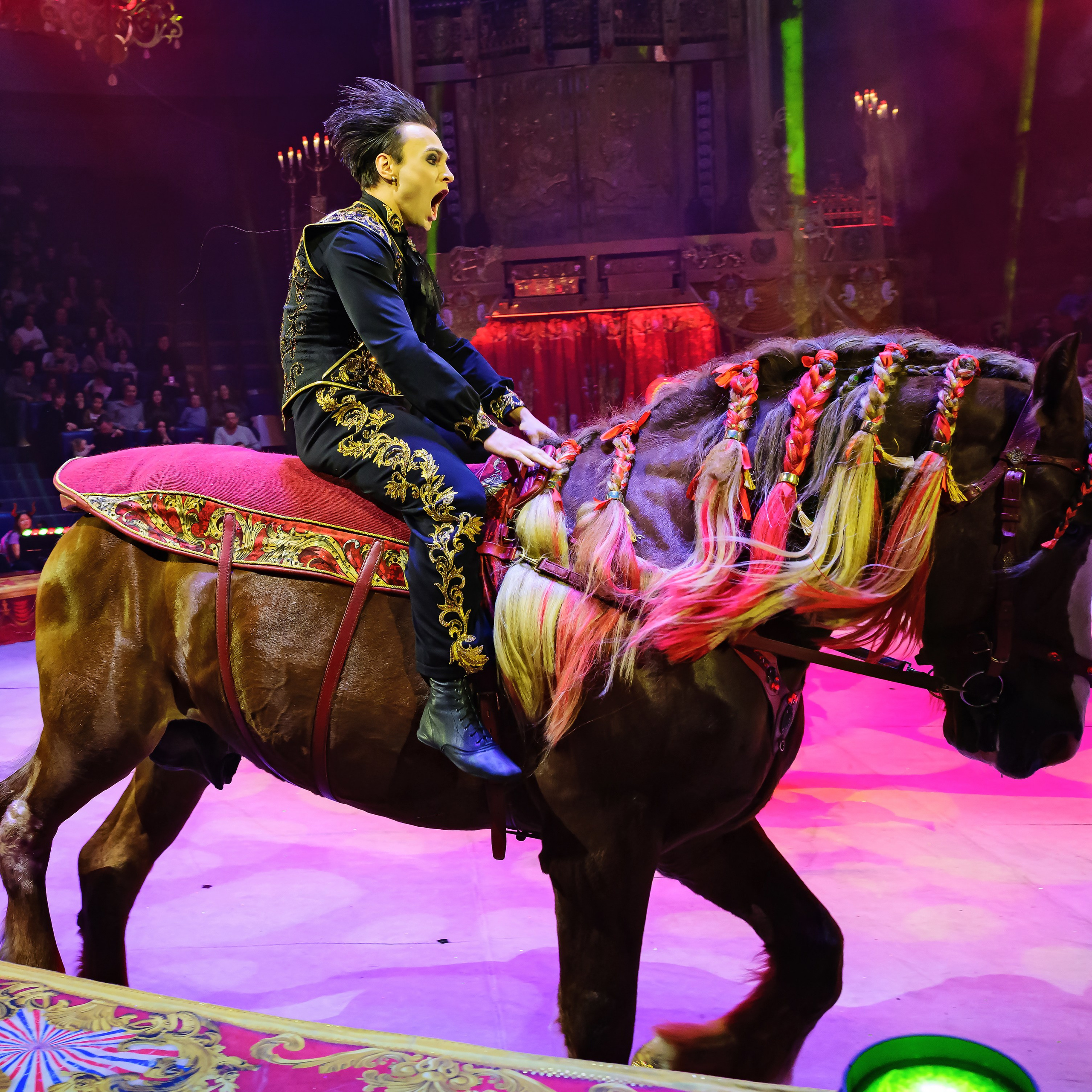 Royal Circus (новые номера). Фотограф Андрей Пухов (Jazz)