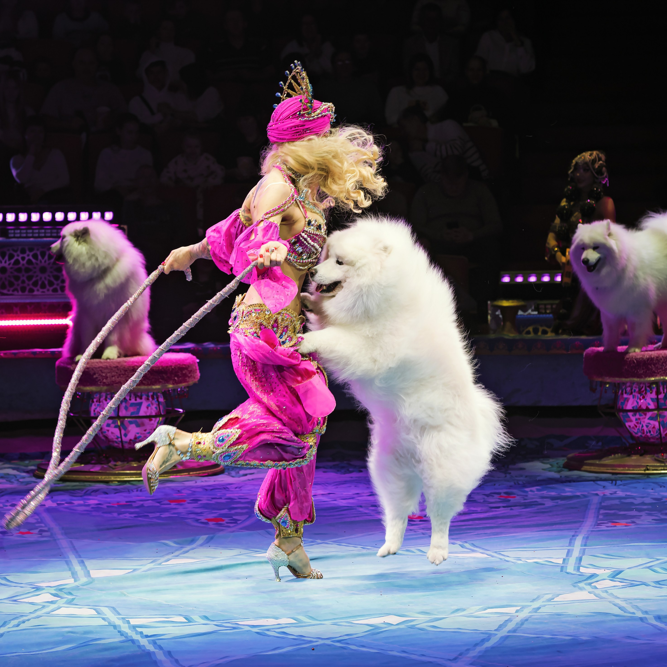Песчаная сказка — Нижегородский Государственный Цирк (Премьера). Цирковой фотограф Андрей Пухов (Jazz)