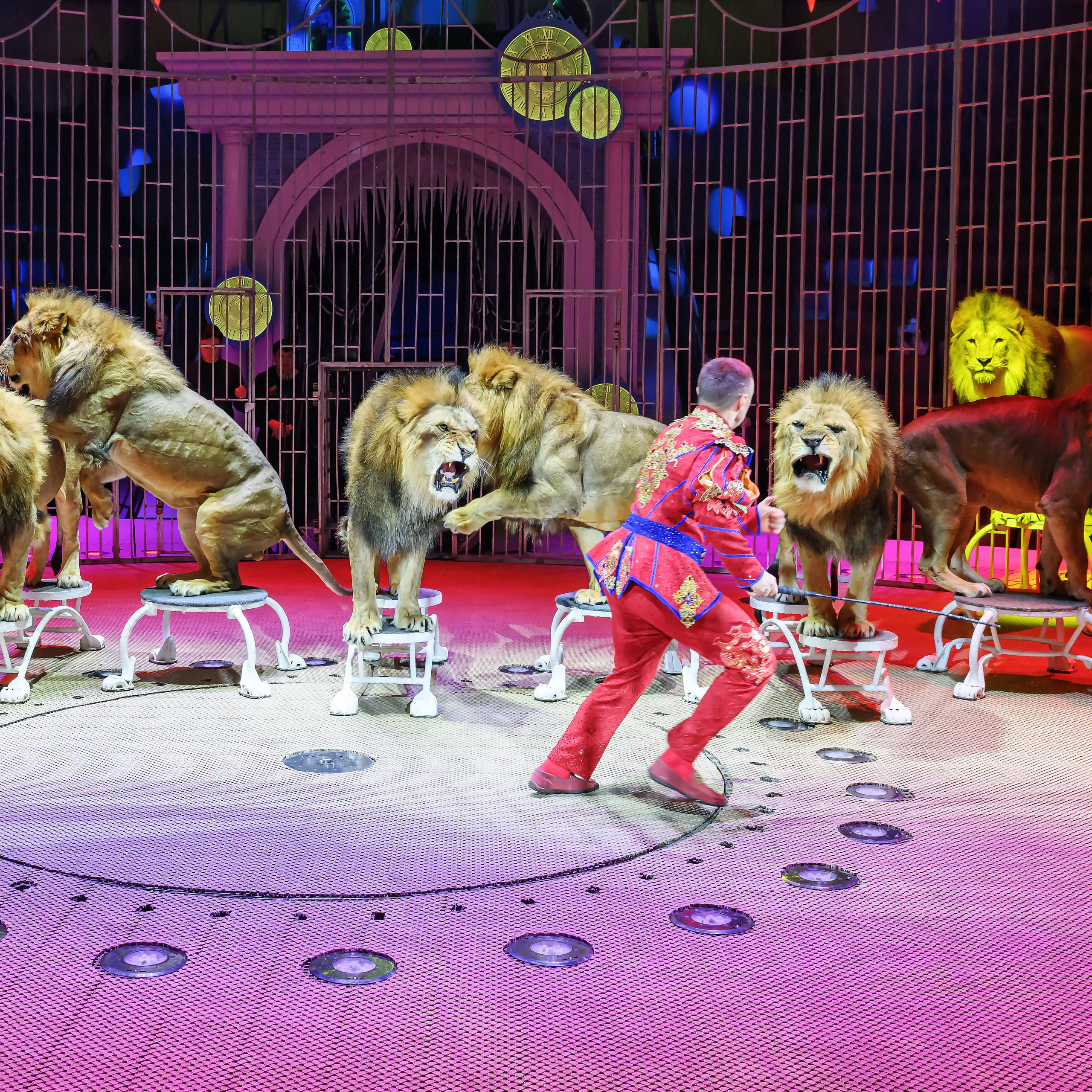 «13 месяцев. Шоу ледяных фонтанов»❄💙. Фотограф Андрей Пухов (Jazz)