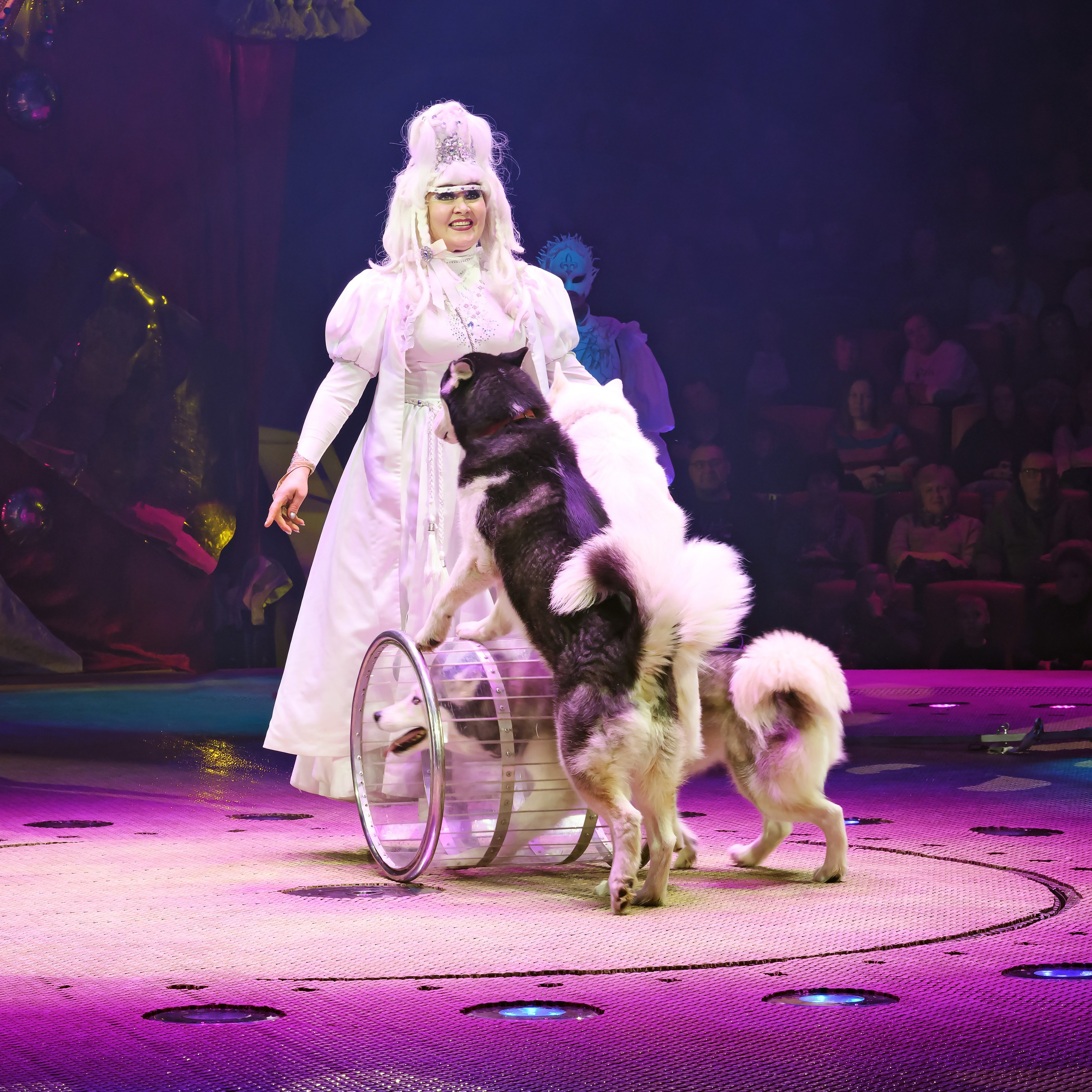 Шоу фонтанов «Принц цирка» 🎪 09.11.2024. Фотограф Андрей Пухов (Jazz)