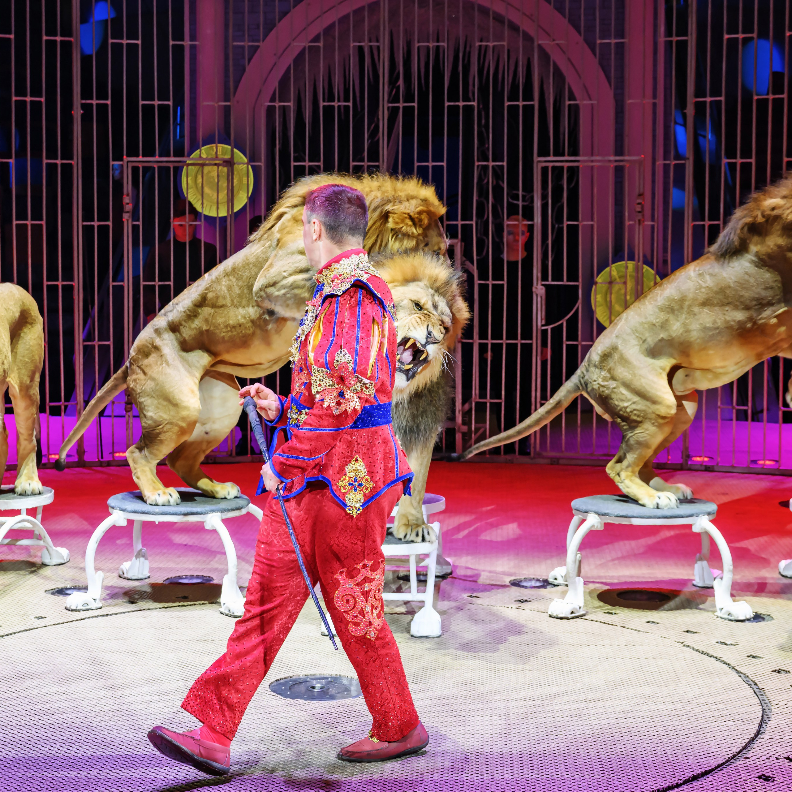 «13 месяцев. Шоу ледяных фонтанов»❄💙. Фотограф Андрей Пухов (Jazz)