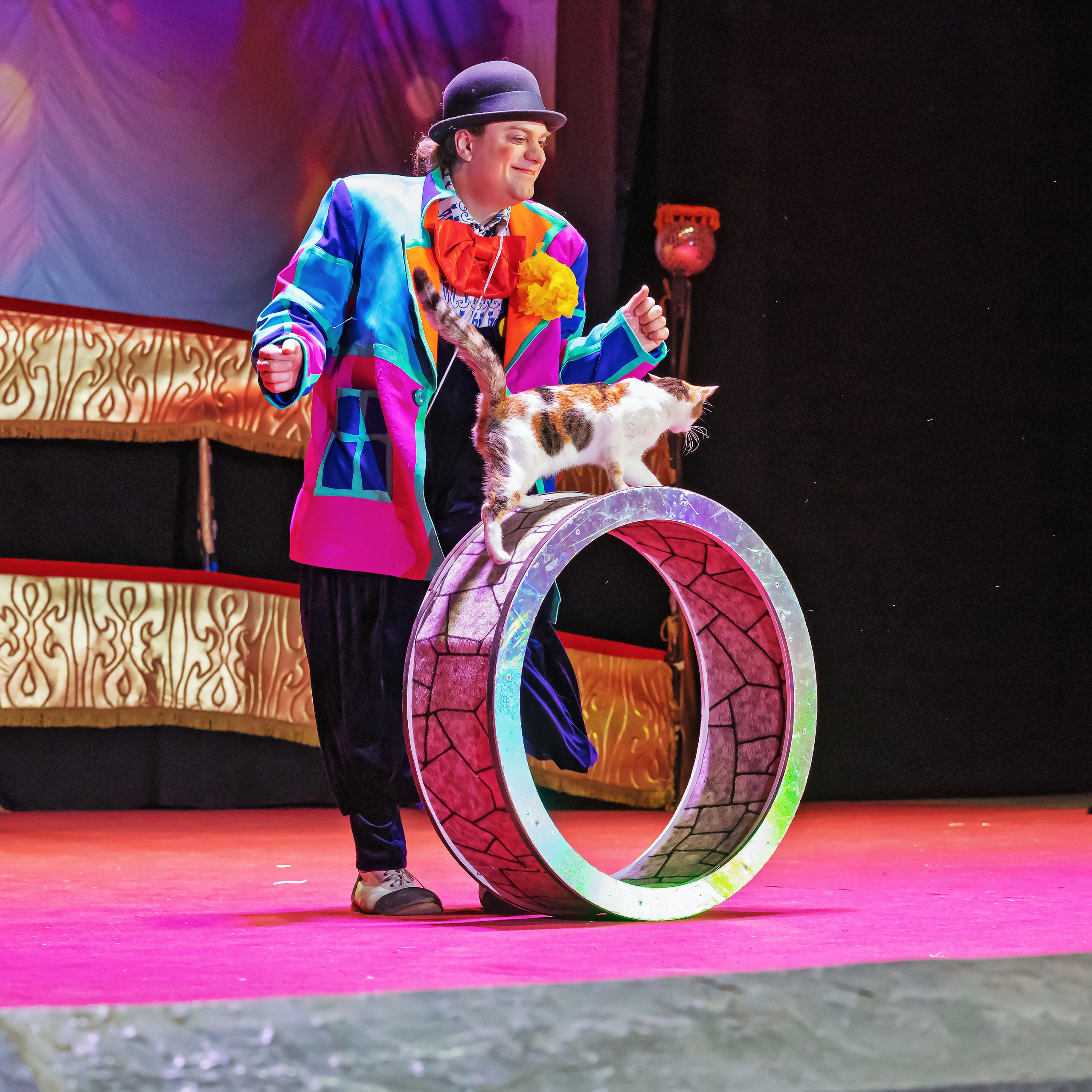 Великий клоун, Народный артист России, Юрий Куклачёв со звёздами эстрады и цирка, уникальный бенефис!. Фотограф Андрей Пухов (Jazz)