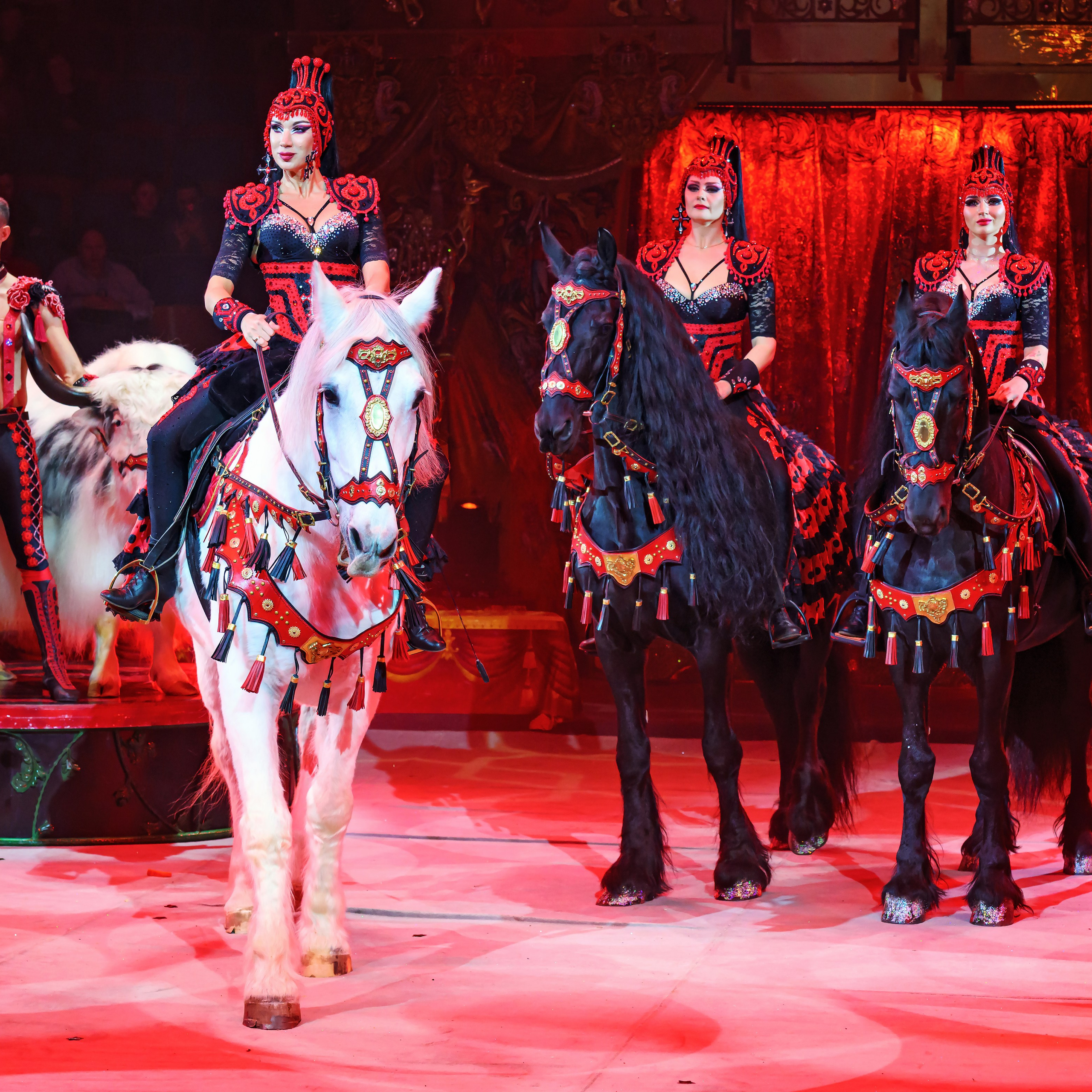 ГРАНДИОЗНОЕ ЦИРКОВОЕ ШОУ ЗАСЛУЖЕННОГО АРТИСТА РОССИИ ГИИ ЭРАДЗЕ. Фотограф Андрей Пухов (Jazz)