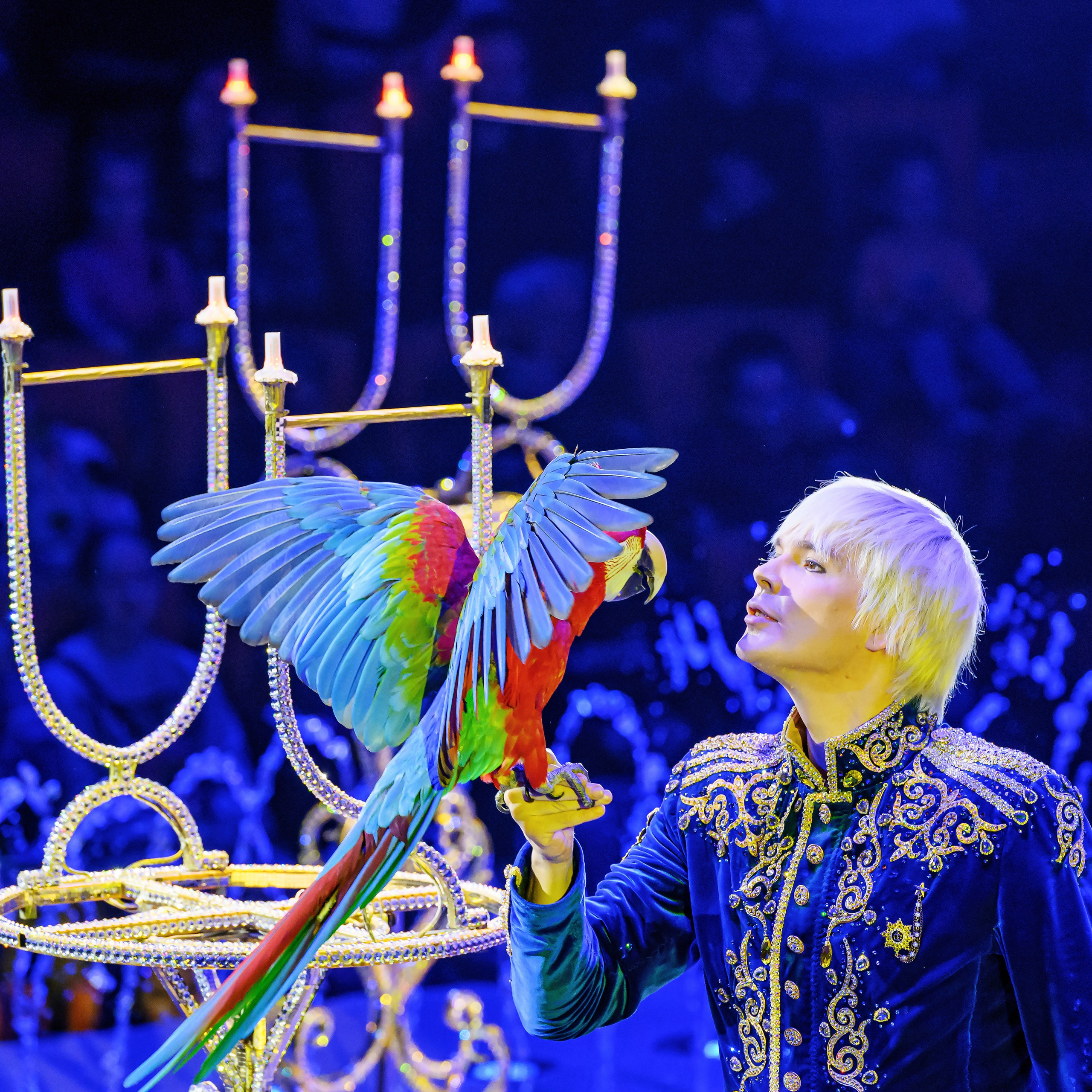 Принц Цирка (Продюсерский центр Влада Гончарова)🎪🦁. Фотограф Андрей Пухов (Jazz)