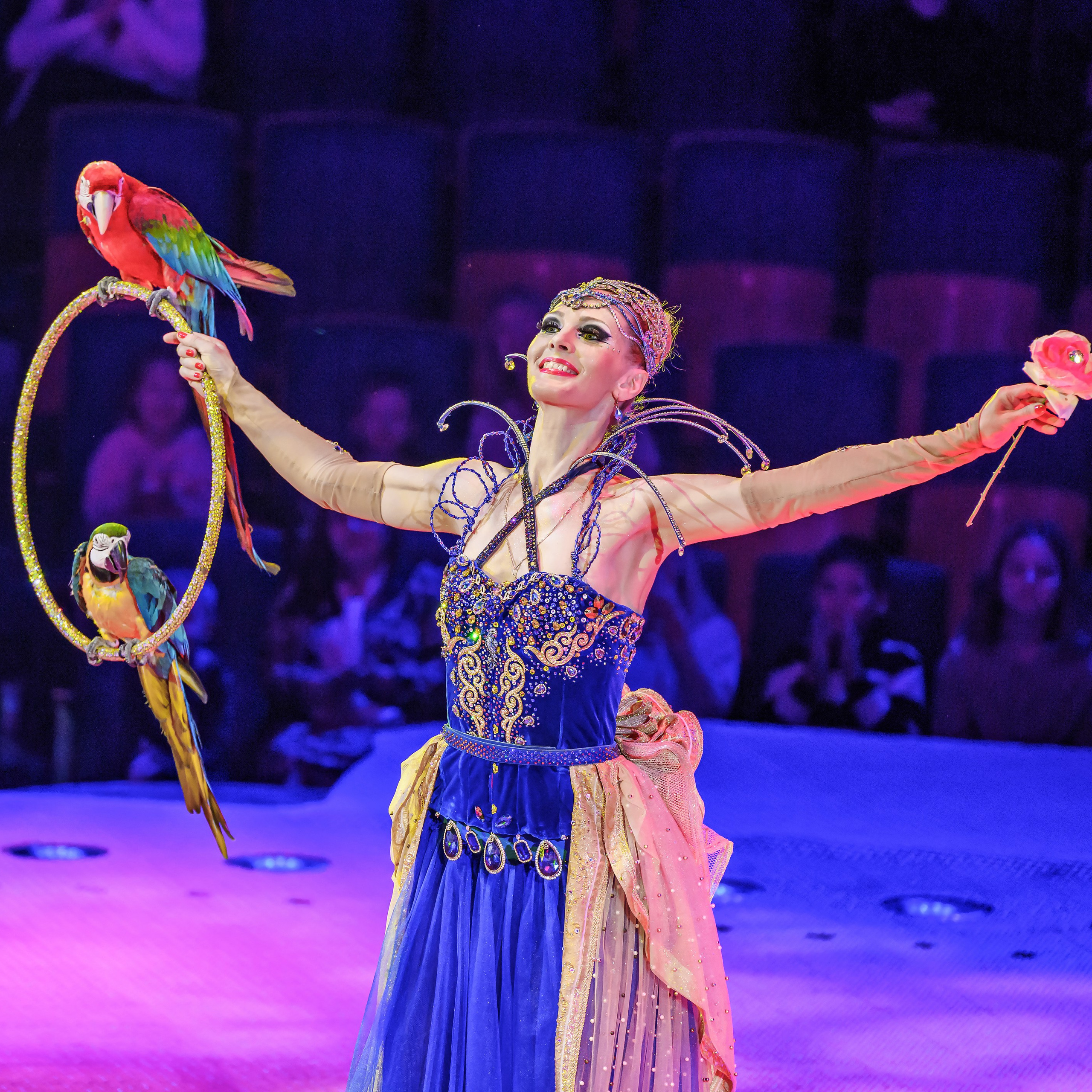 Принц Цирка (Продюсерский центр Влада Гончарова)🎪🦁. Фотограф Андрей Пухов (Jazz)