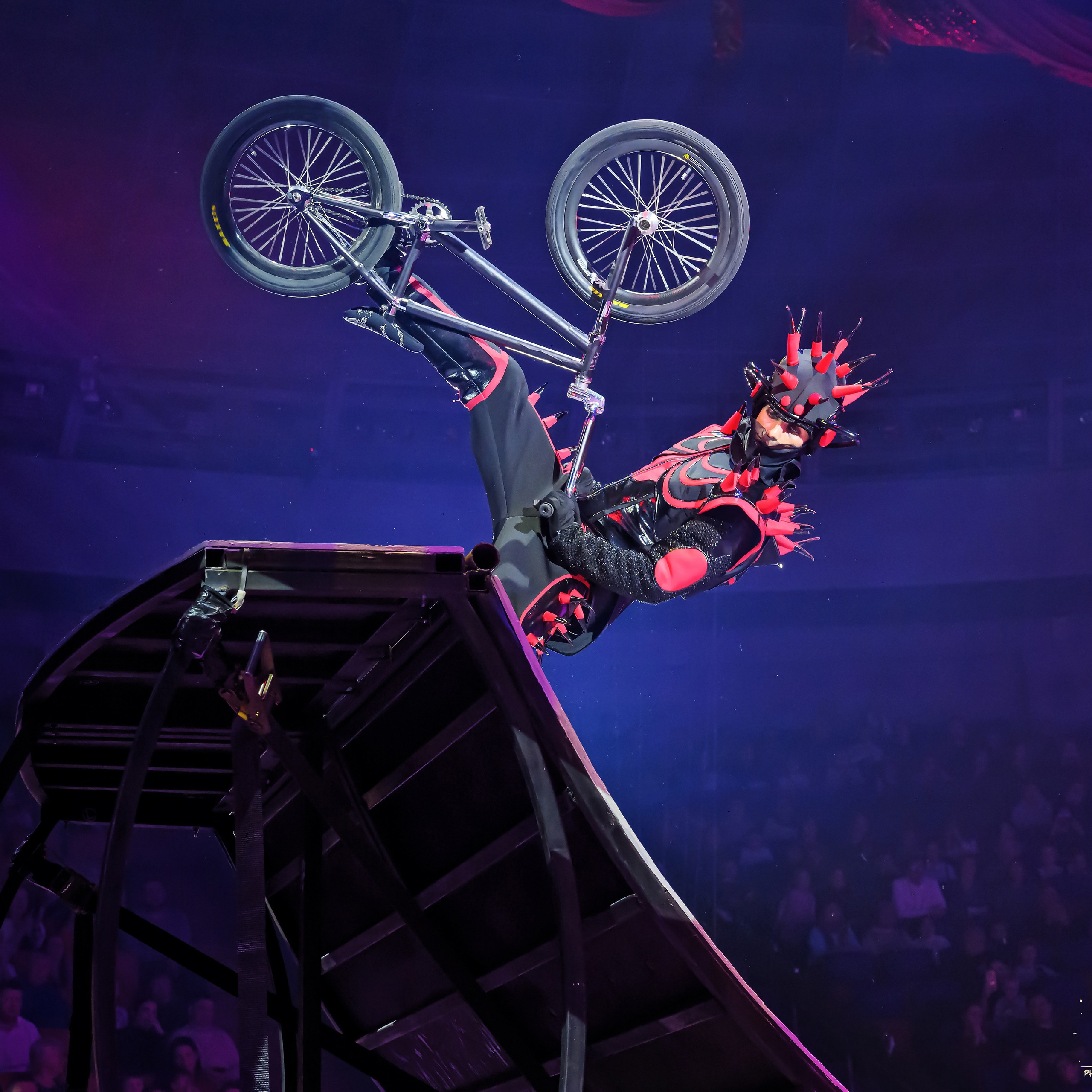 «13 месяцев. Шоу ледяных фонтанов»❄💙. Фотограф Андрей Пухов (Jazz)