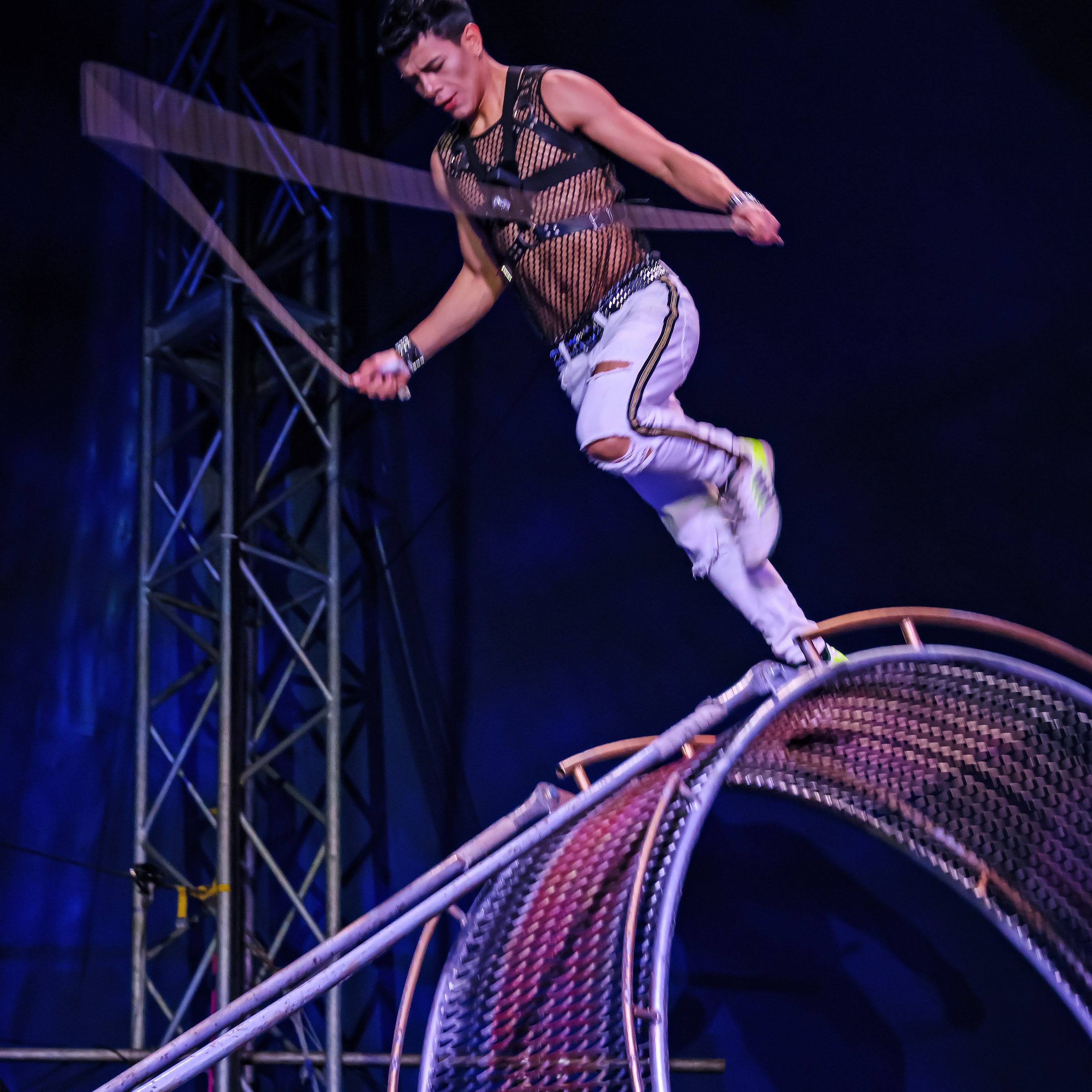 Шоу Демидовых. Цирковой фотограф Андрей Пухов (Jazz)