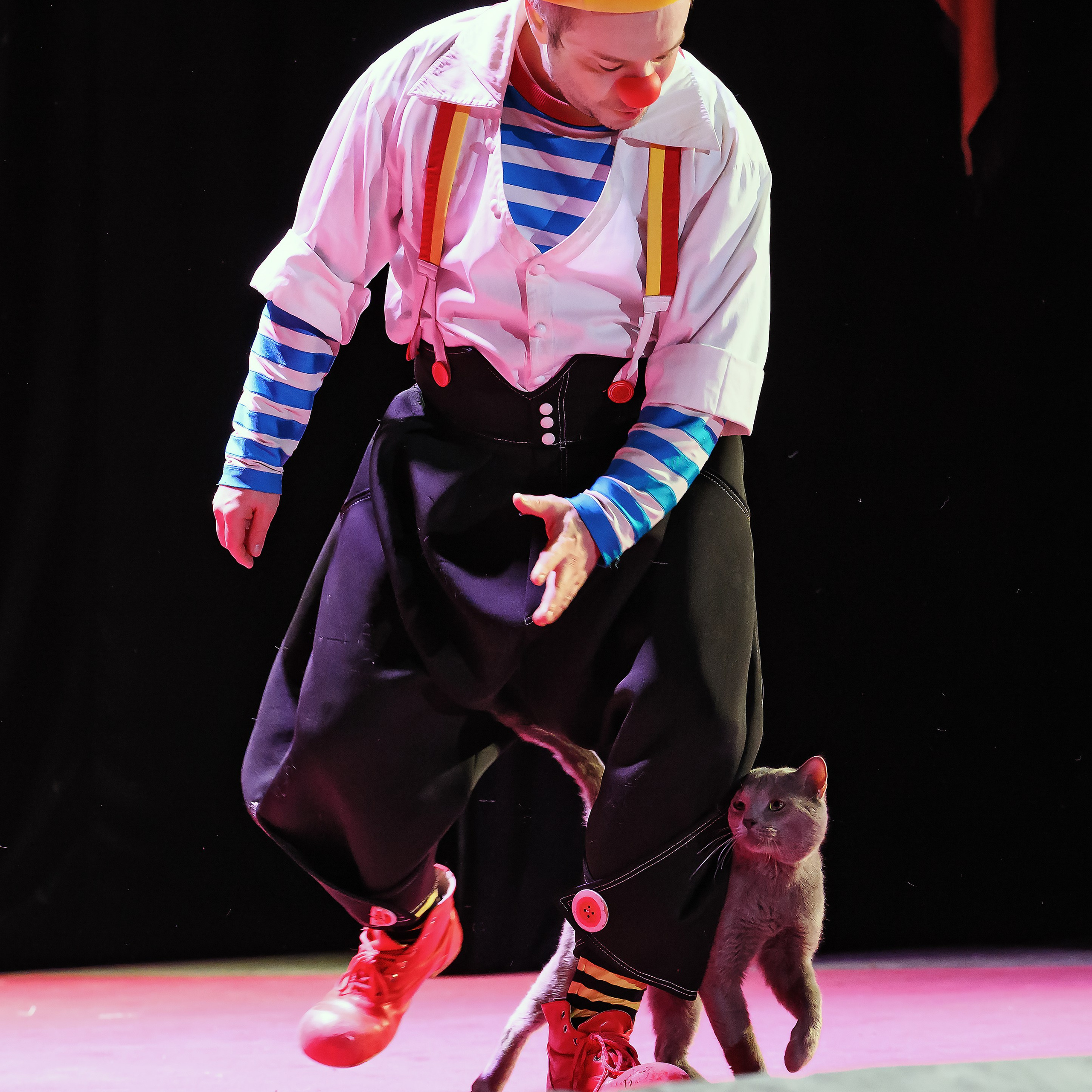 Великий клоун, Народный артист России, Юрий Куклачёв со звёздами эстрады и цирка, уникальный бенефис!. Фотограф Андрей Пухов (Jazz)