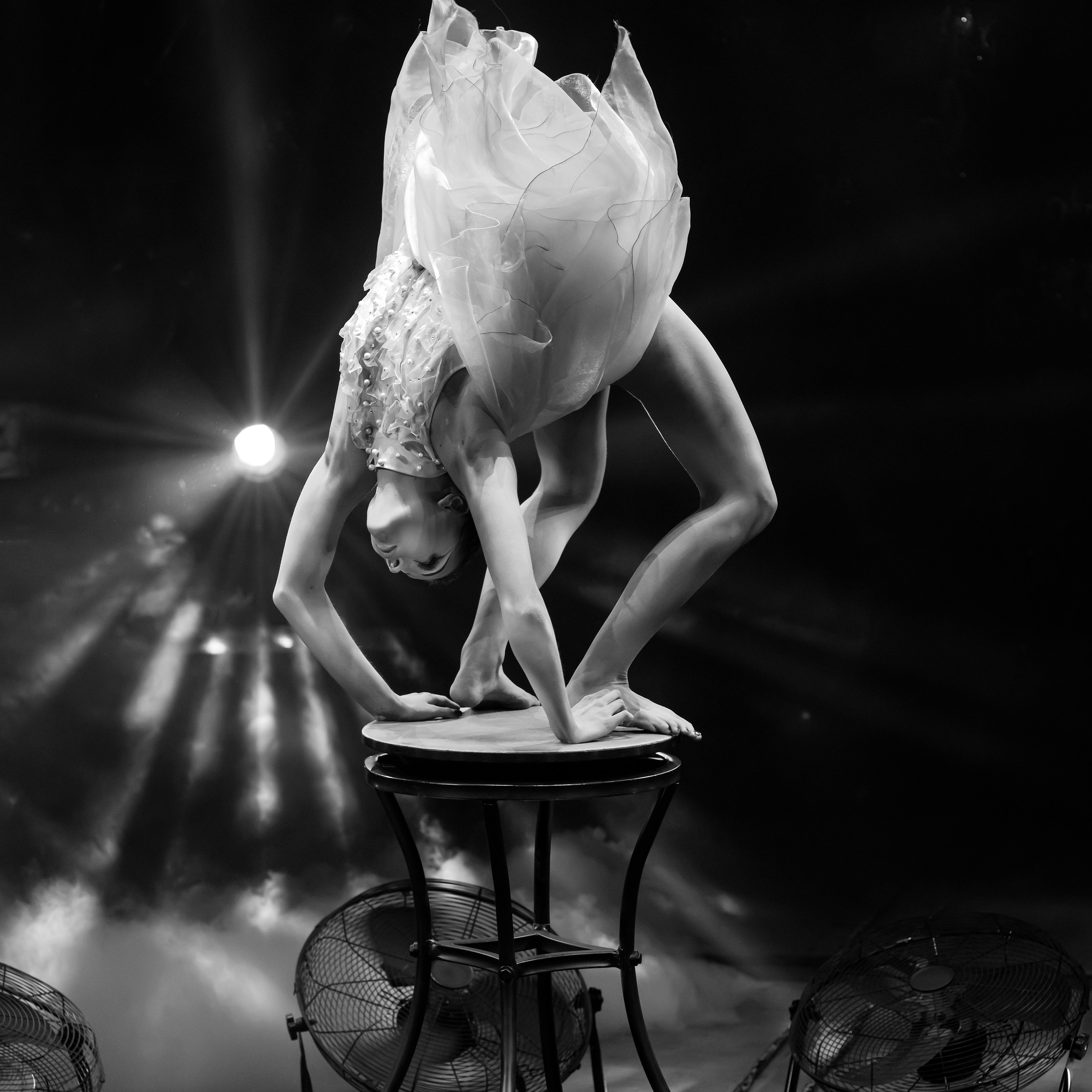 Королевский цирк ПРЕМЬЕРА НН. Фотограф Андрей Пухов (Jazz)