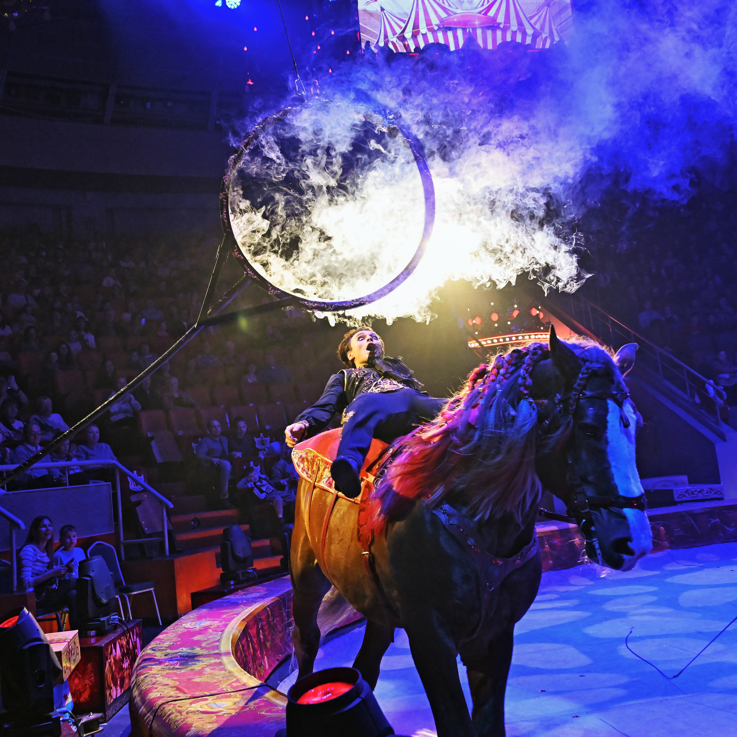 Вечное искусство удивлять: Королевский цирк Гии Эрадзе 👑 Роскошь здесь в каждой детали 💫✨⭐. Фотограф Андрей Пухов (Jazz)