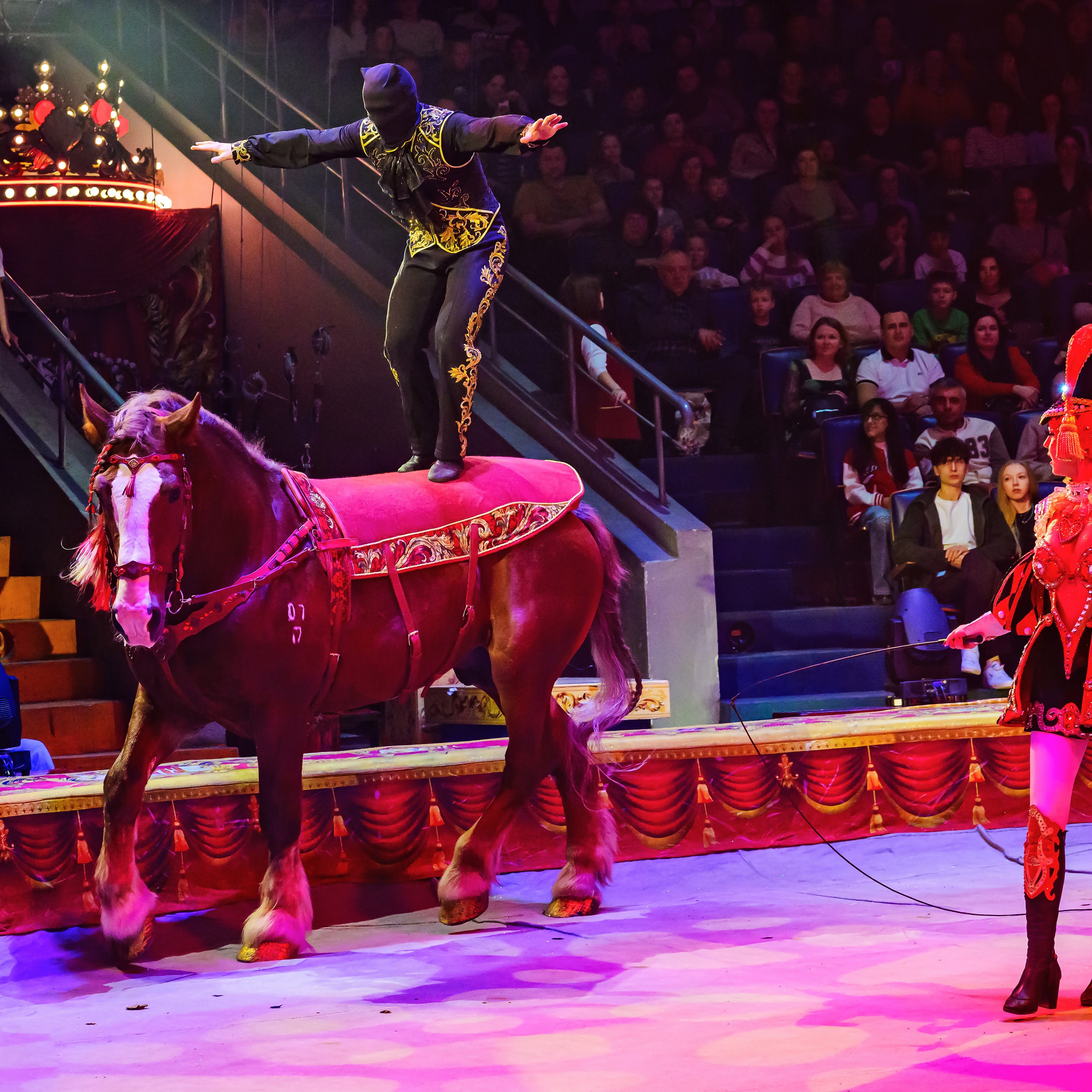 Royal Circus (новые номера). Фотограф Андрей Пухов (Jazz)