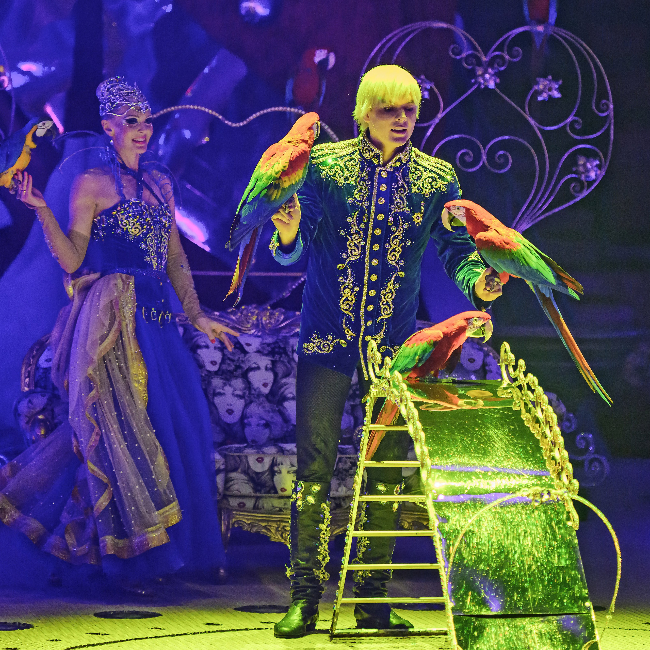 Принц Цирка (Продюсерский центр Влада Гончарова)🎪🦁. Фотограф Андрей Пухов (Jazz)