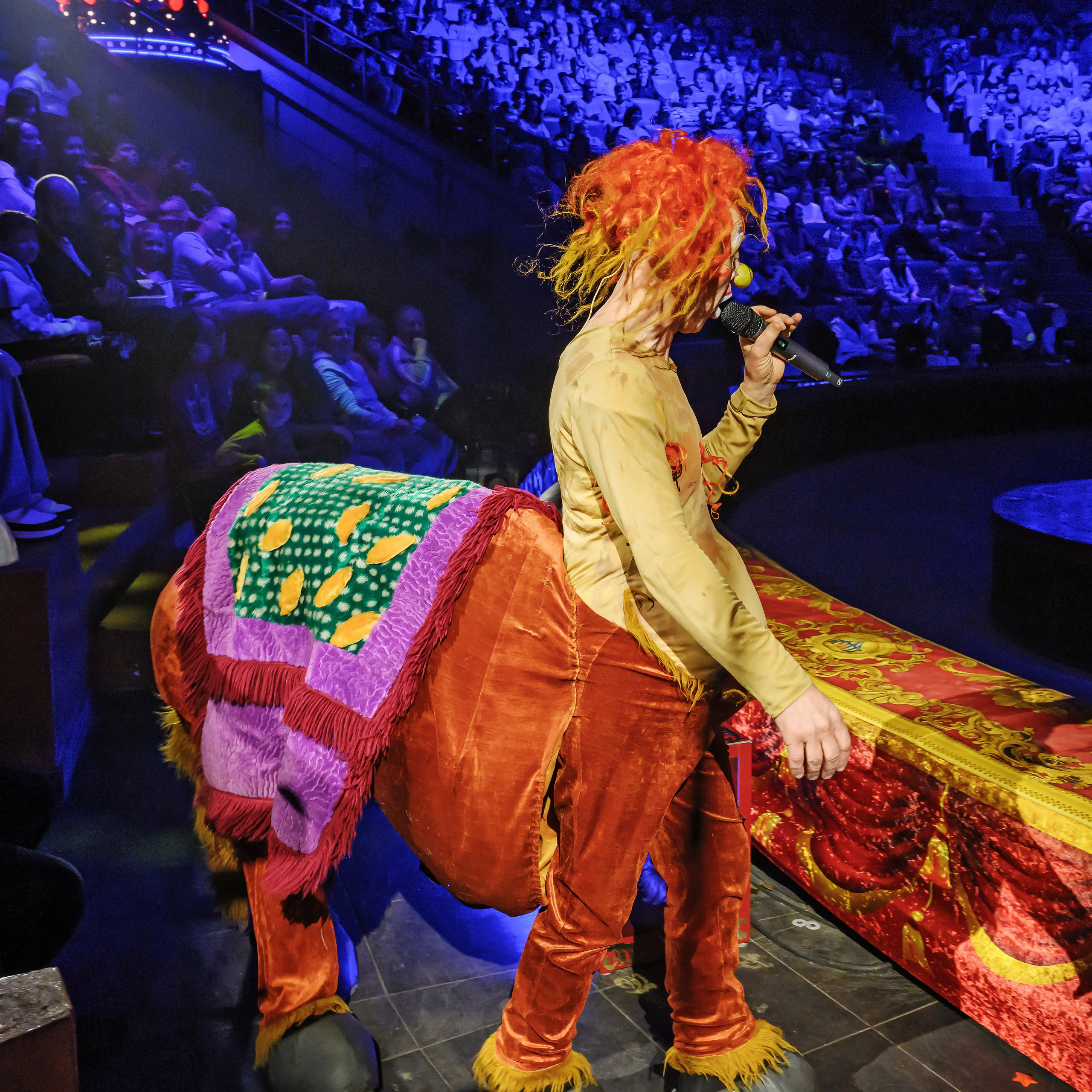 Шоу «Королевский цирк». Фотограф Андрей Пухов (Jazz)