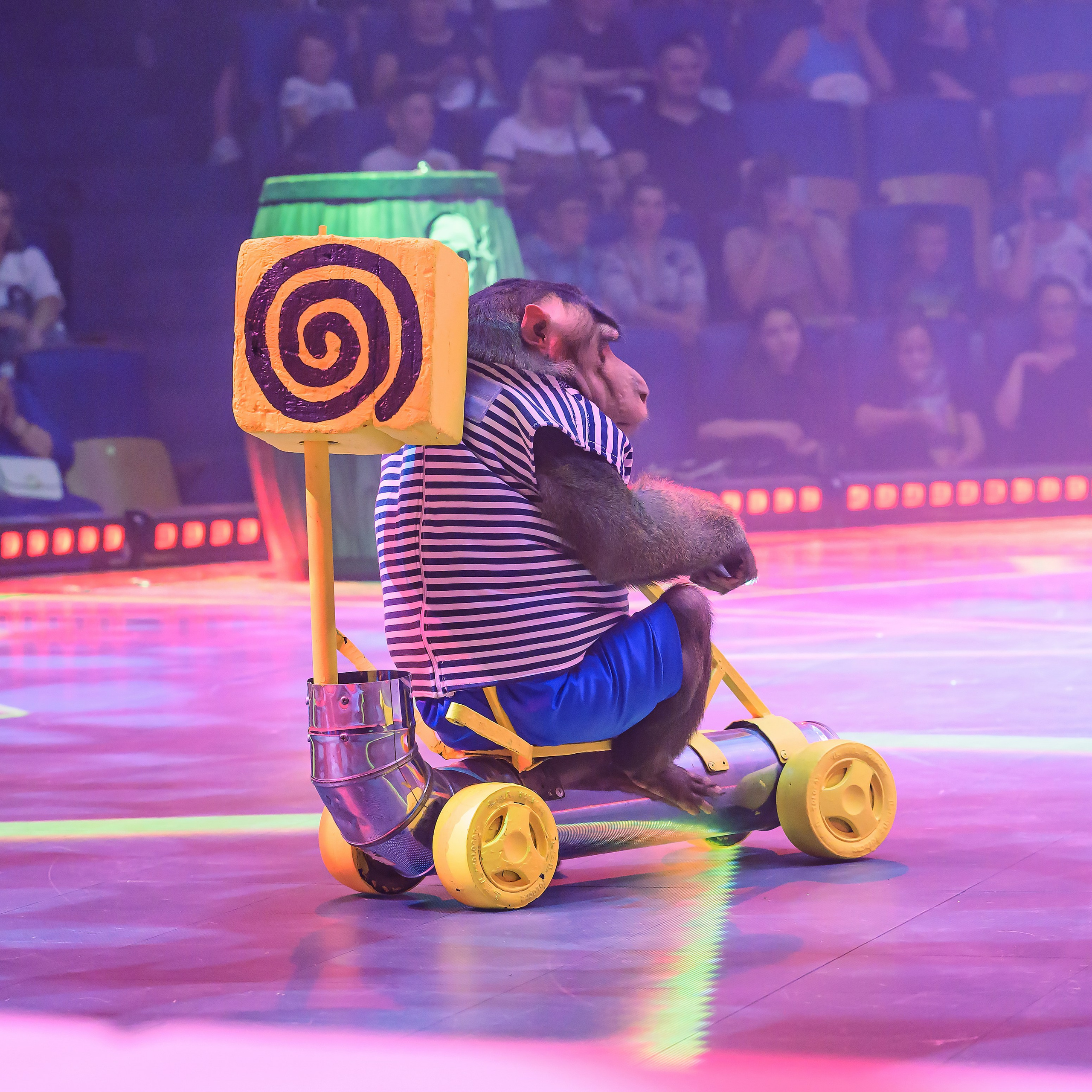 🍭Вкусное шоу «WOW»🍫. Фотограф Андрей Пухов (Jazz)