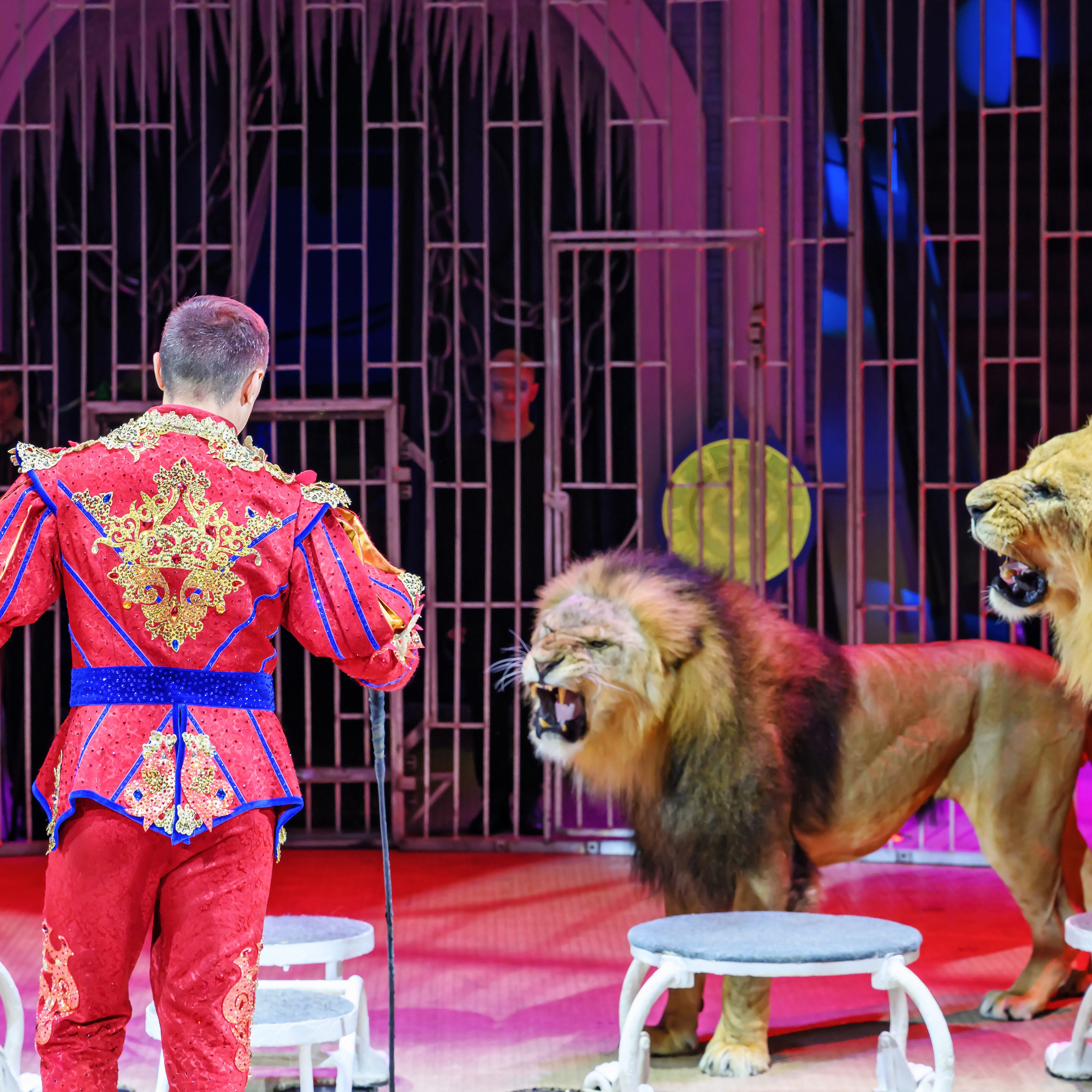 «13 месяцев. Шоу ледяных фонтанов»❄💙. Фотограф Андрей Пухов (Jazz)