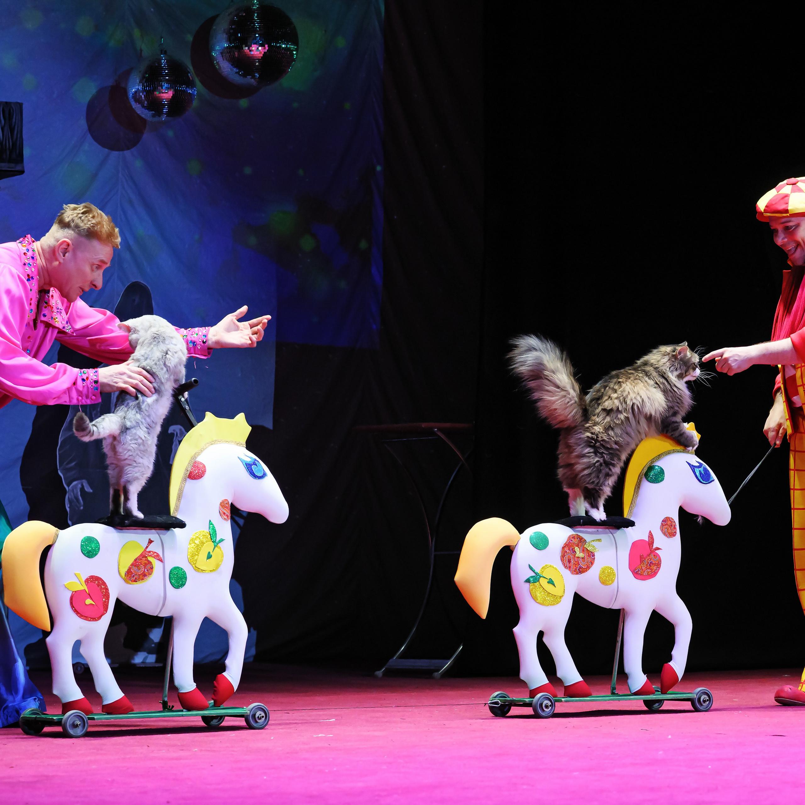 Великий клоун, Народный артист России, Юрий Куклачёв со звёздами эстрады и цирка, уникальный бенефис!. Фотограф Андрей Пухов (Jazz)