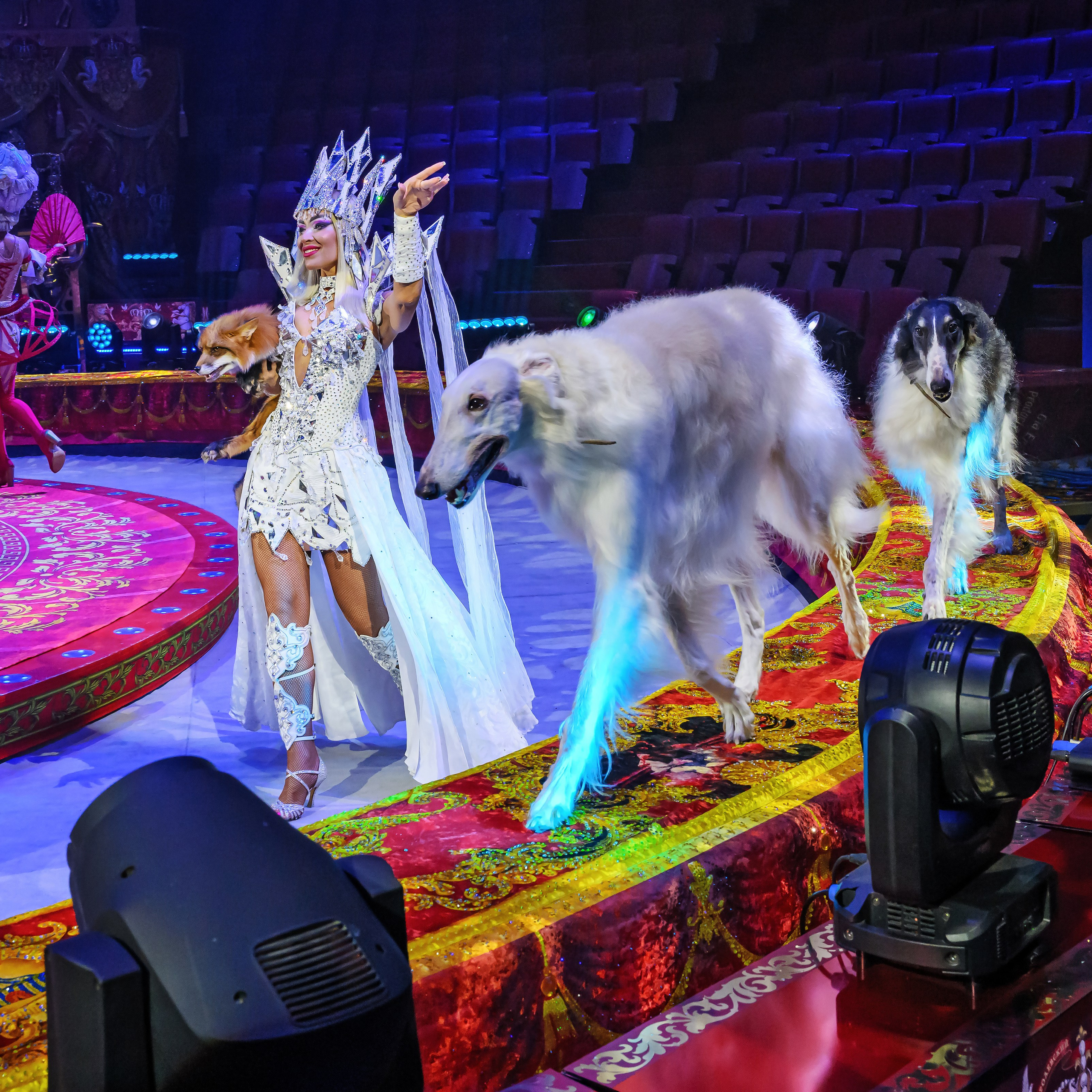 Пресс показ «Королевский цирк». Фотограф Андрей Пухов (Jazz)