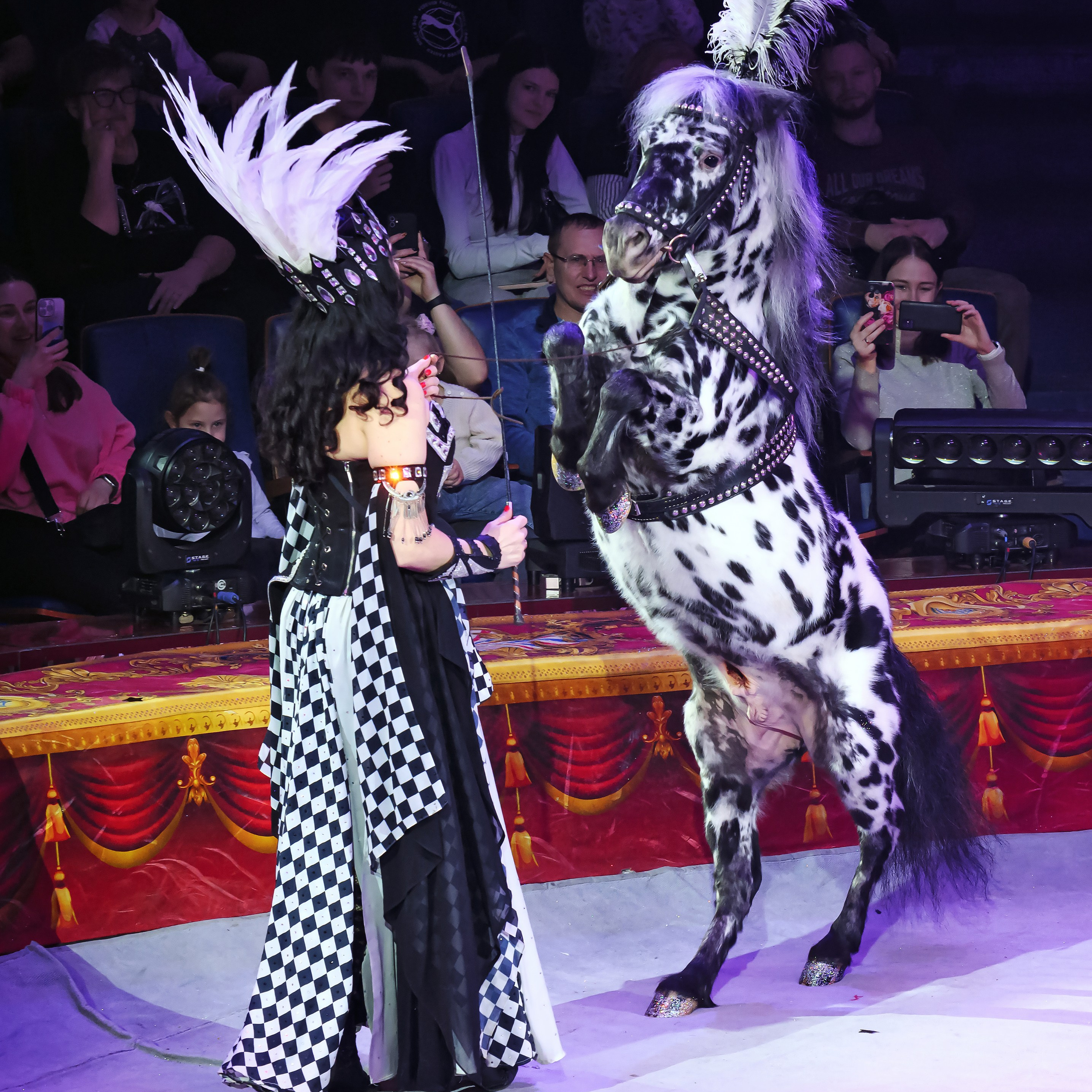 Королевский цирк ПРЕМЬЕРА НН. Фотограф Андрей Пухов (Jazz)