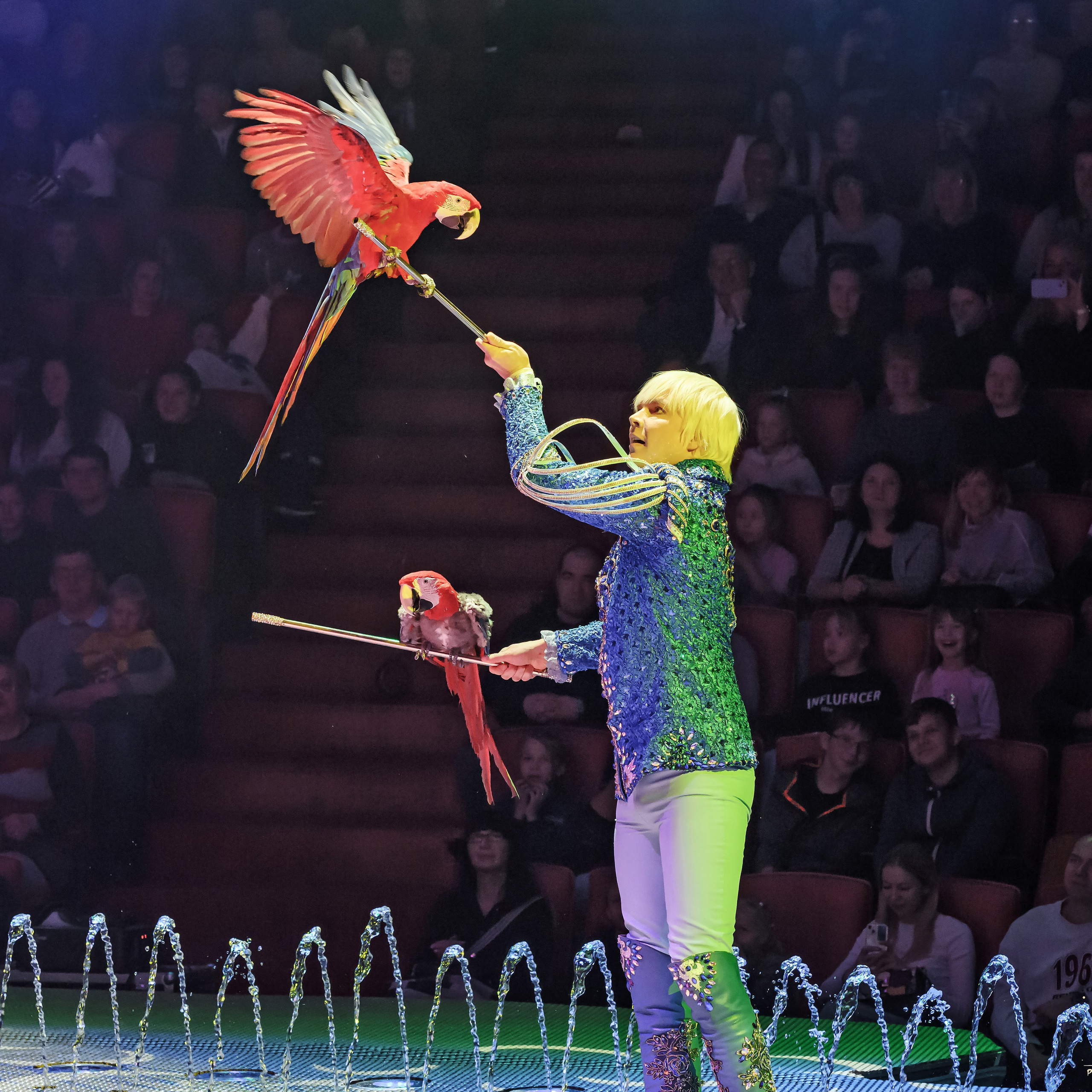 «13 месяцев. Шоу ледяных фонтанов»❄💙. Фотограф Андрей Пухов (Jazz)