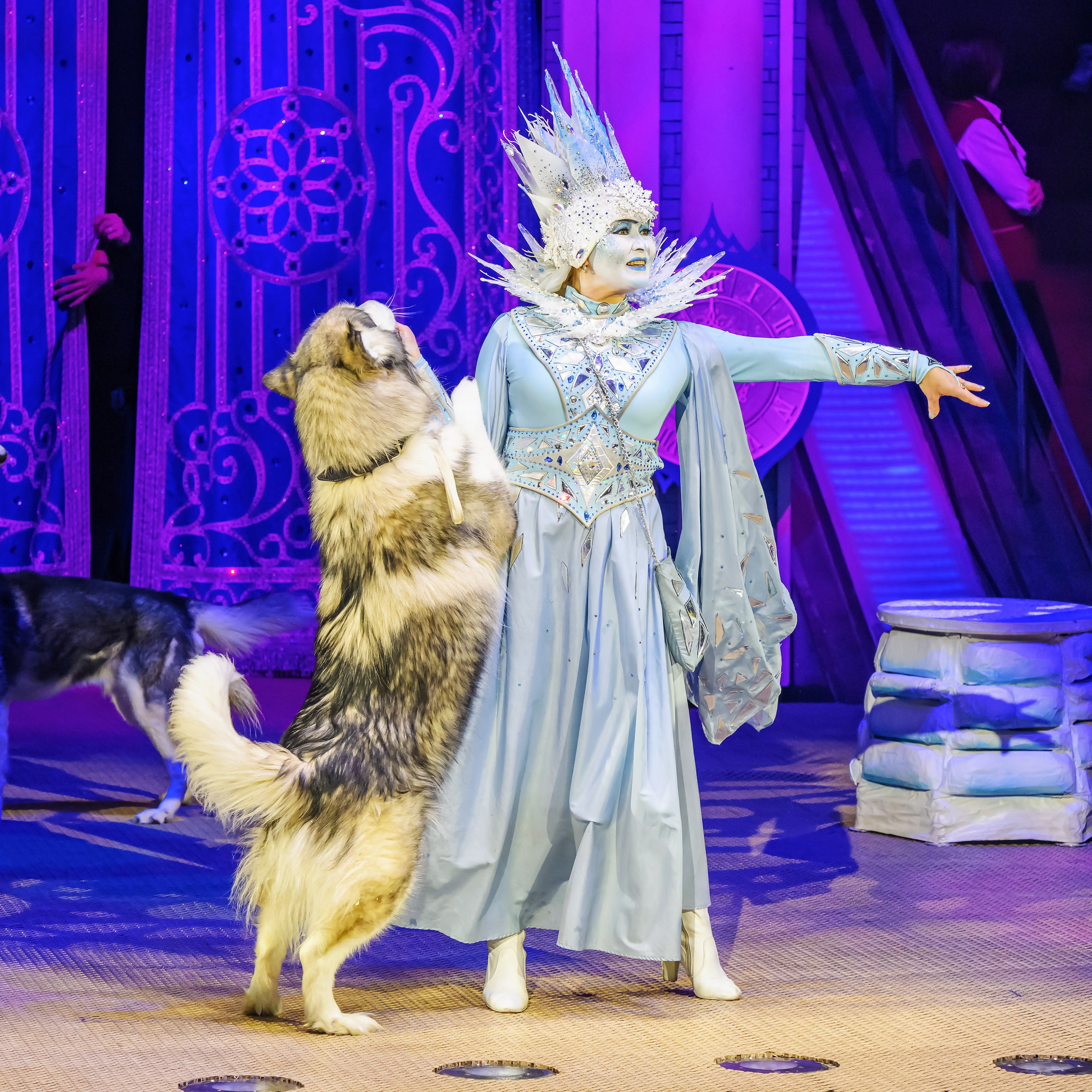 «13 месяцев. Шоу ледяных фонтанов»❄💙. Фотограф Андрей Пухов (Jazz)