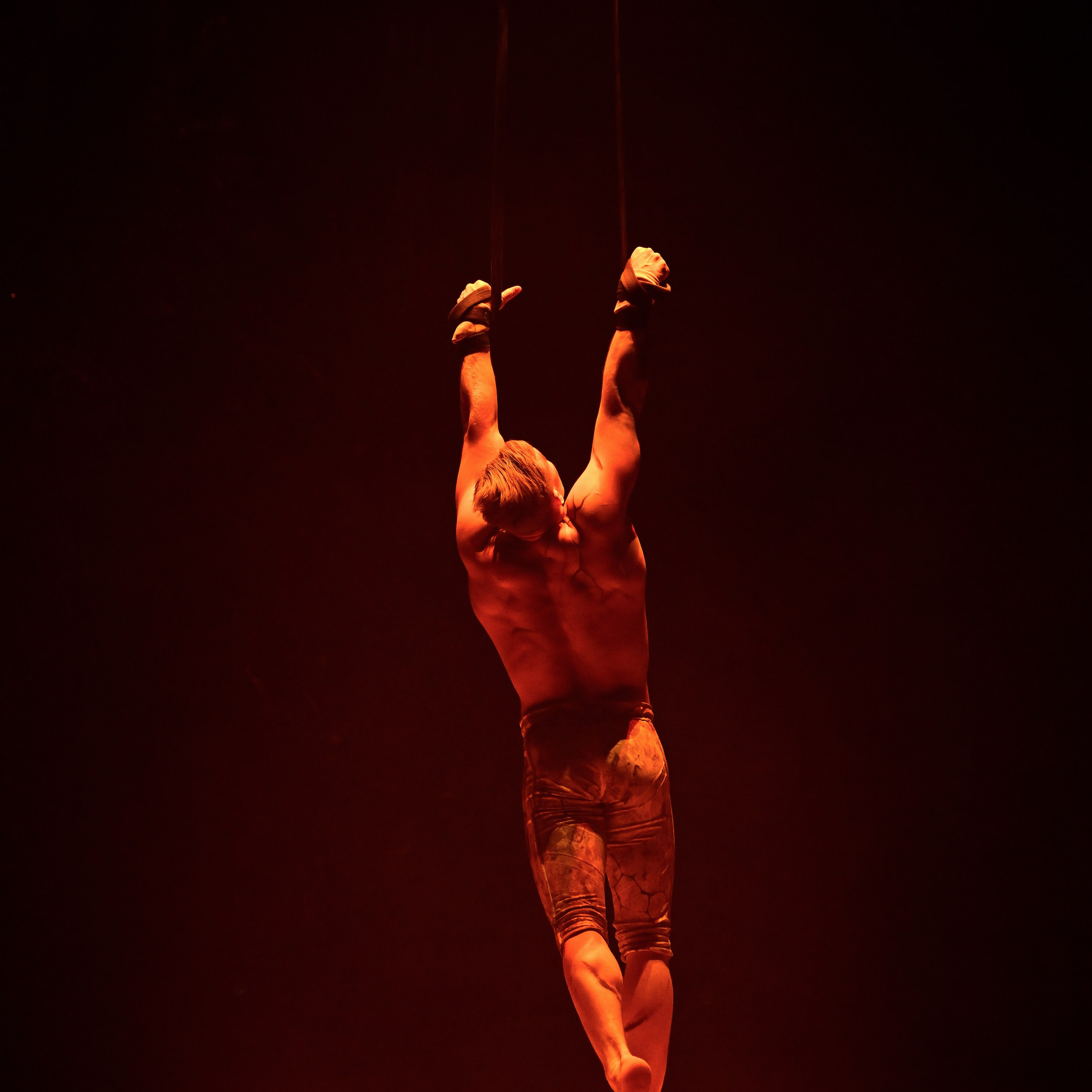 Шоу «Королевский цирк». Фотограф Андрей Пухов (Jazz)