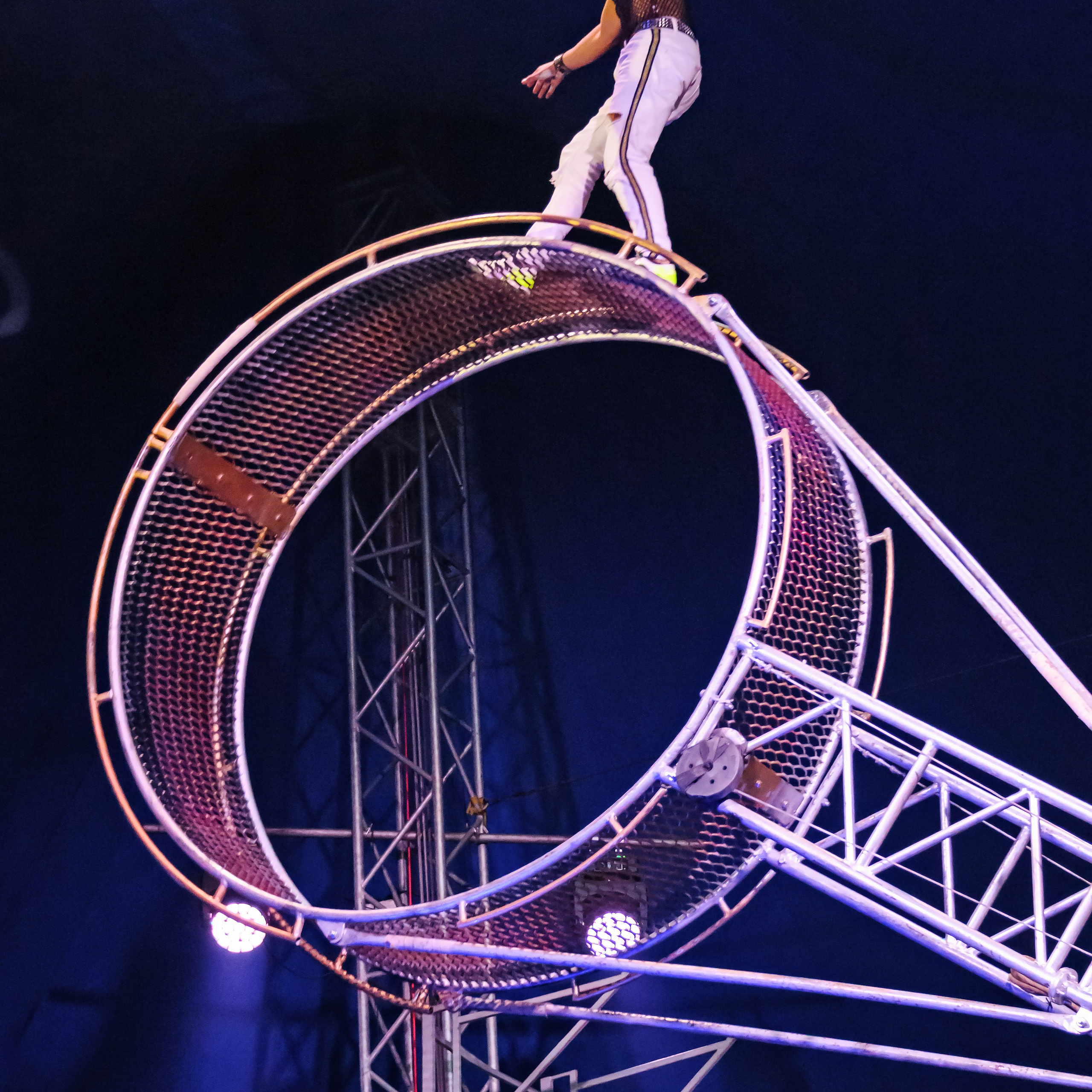 Шоу Демидовых. Цирковой фотограф Андрей Пухов (Jazz)