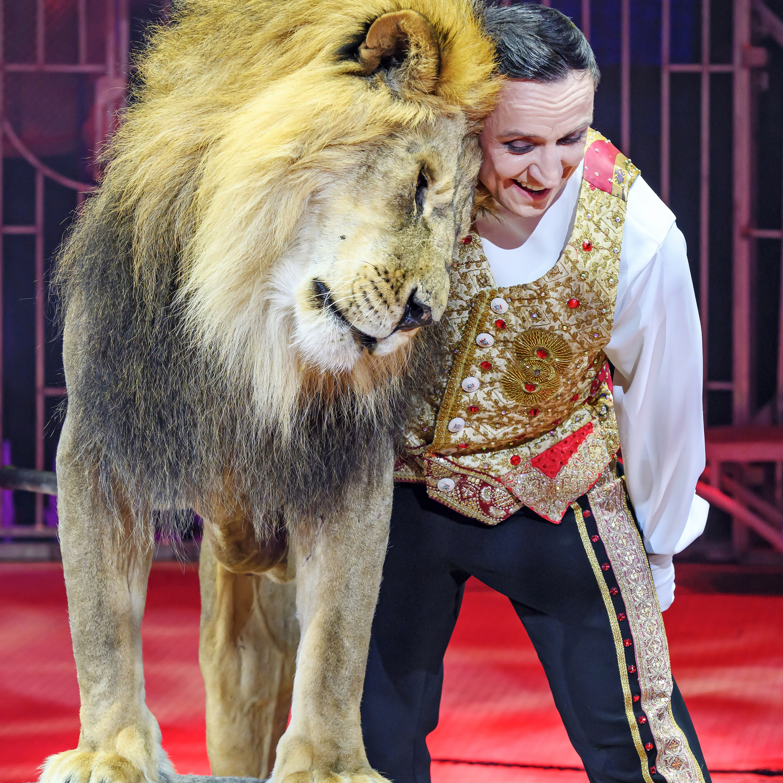 Принц Цирка (Продюсерский центр Влада Гончарова)🎪🦁. Фотограф Андрей Пухов (Jazz)