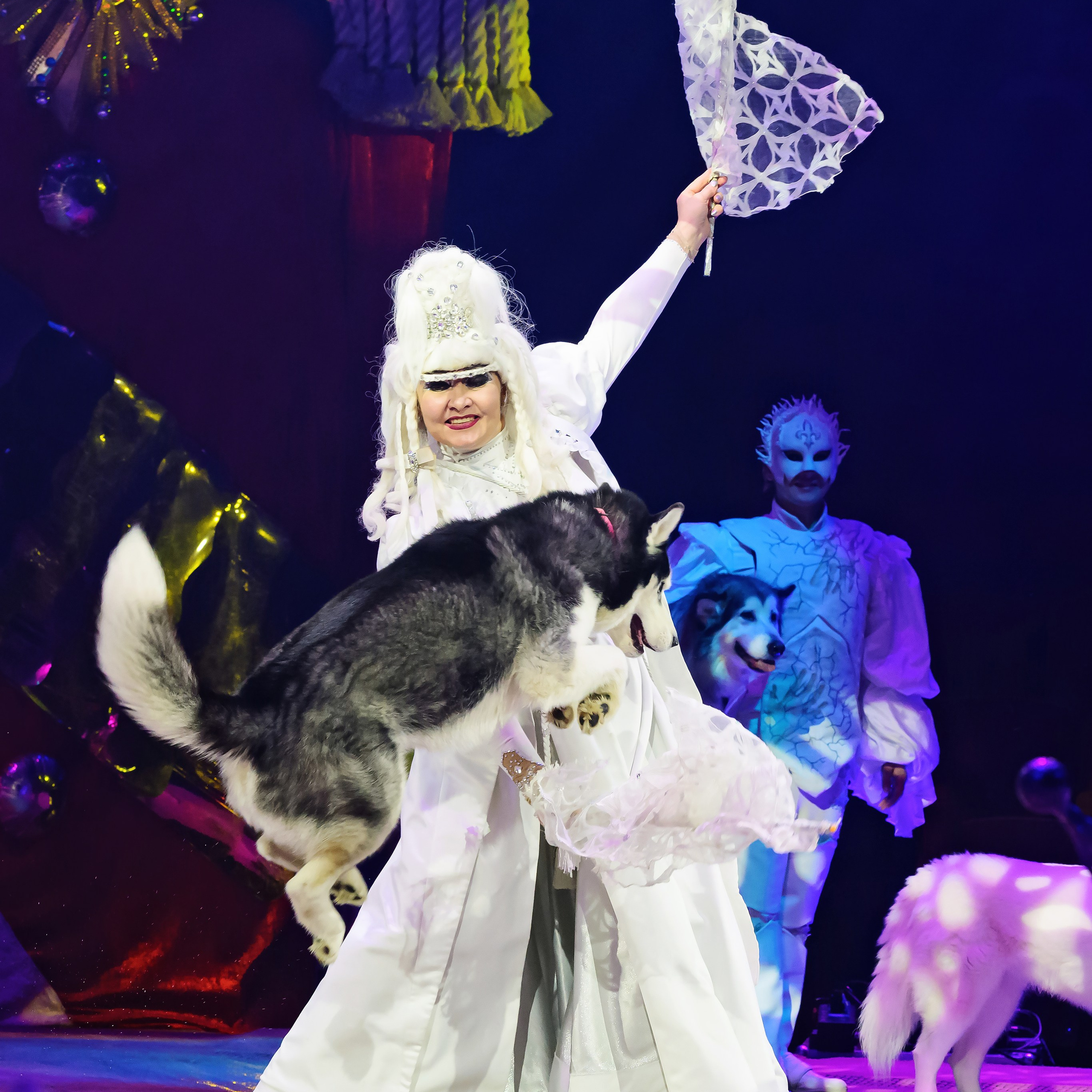 Принц Цирка (Продюсерский центр Влада Гончарова)🎪🦁. Фотограф Андрей Пухов (Jazz)