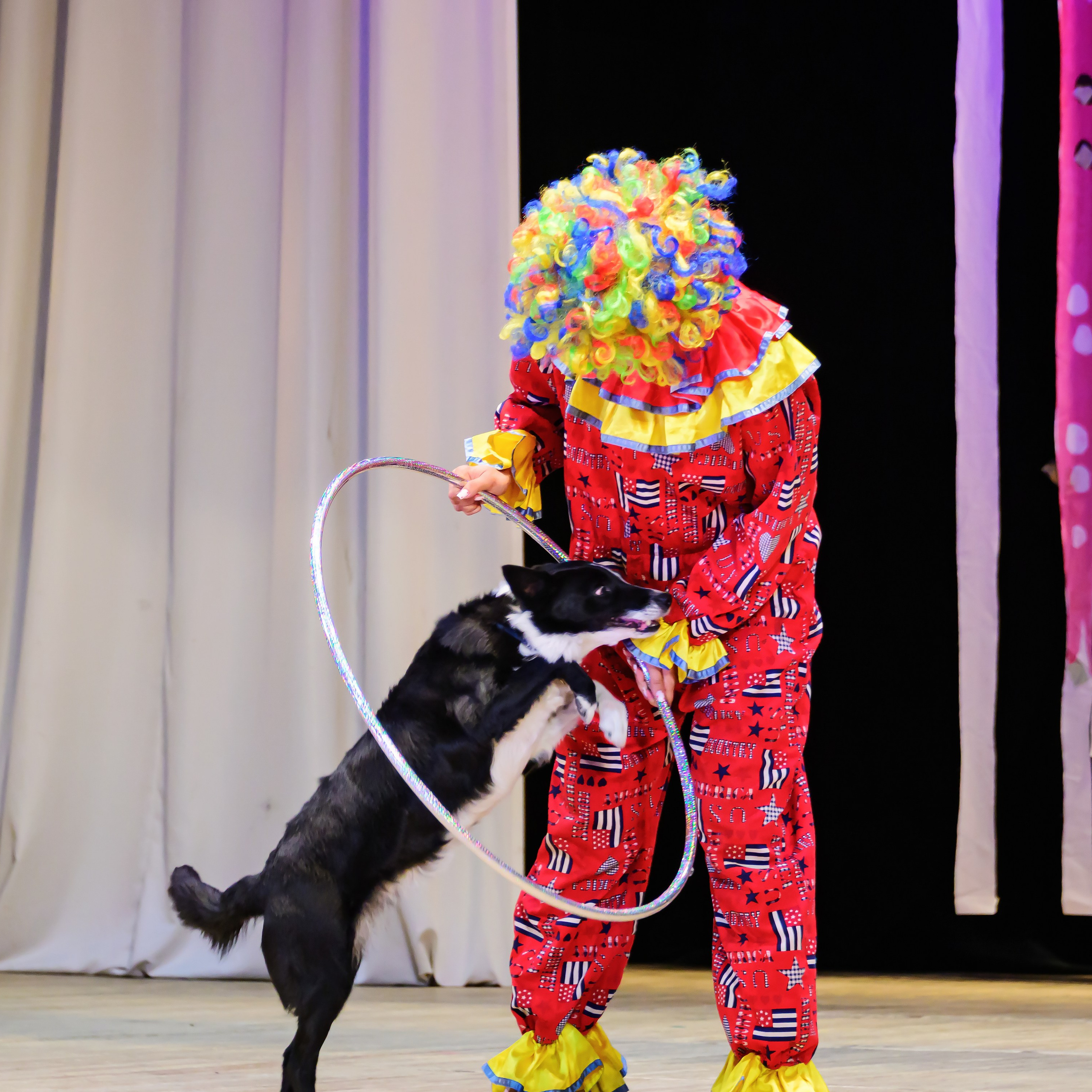 Народный коллектив, цирк «Юность» ДК ГАЗ, г. Нижний Новгород 👏. Фотограф Андрей Пухов (Jazz)