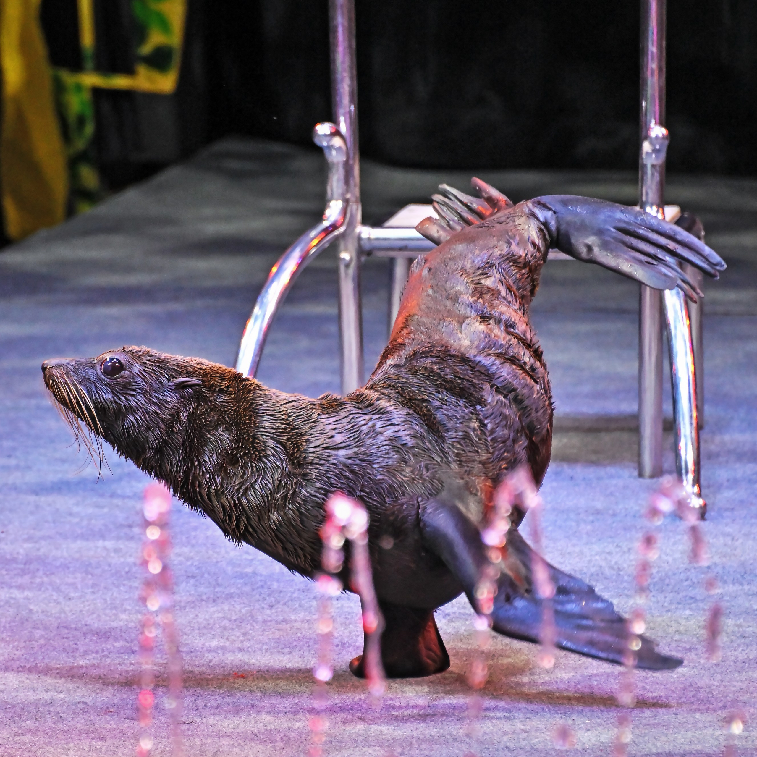 🎪 «Цирк на воде💦 🏰Царство фонтанов**»✨🌊🎭. Фотограф Андрей Пухов (Jazz)