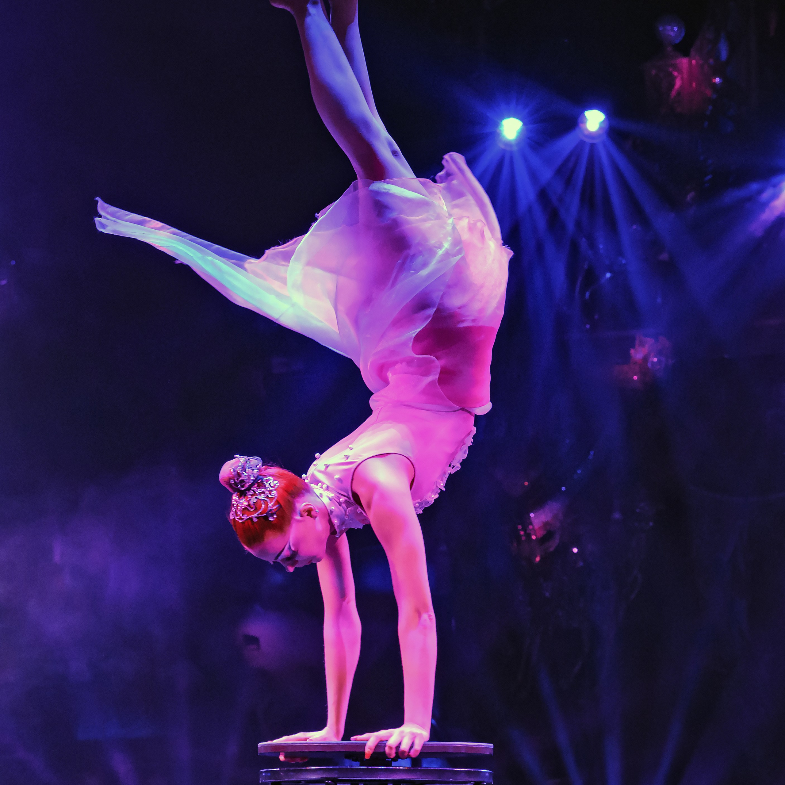 Royal Circus (новые номера). Фотограф Андрей Пухов (Jazz)