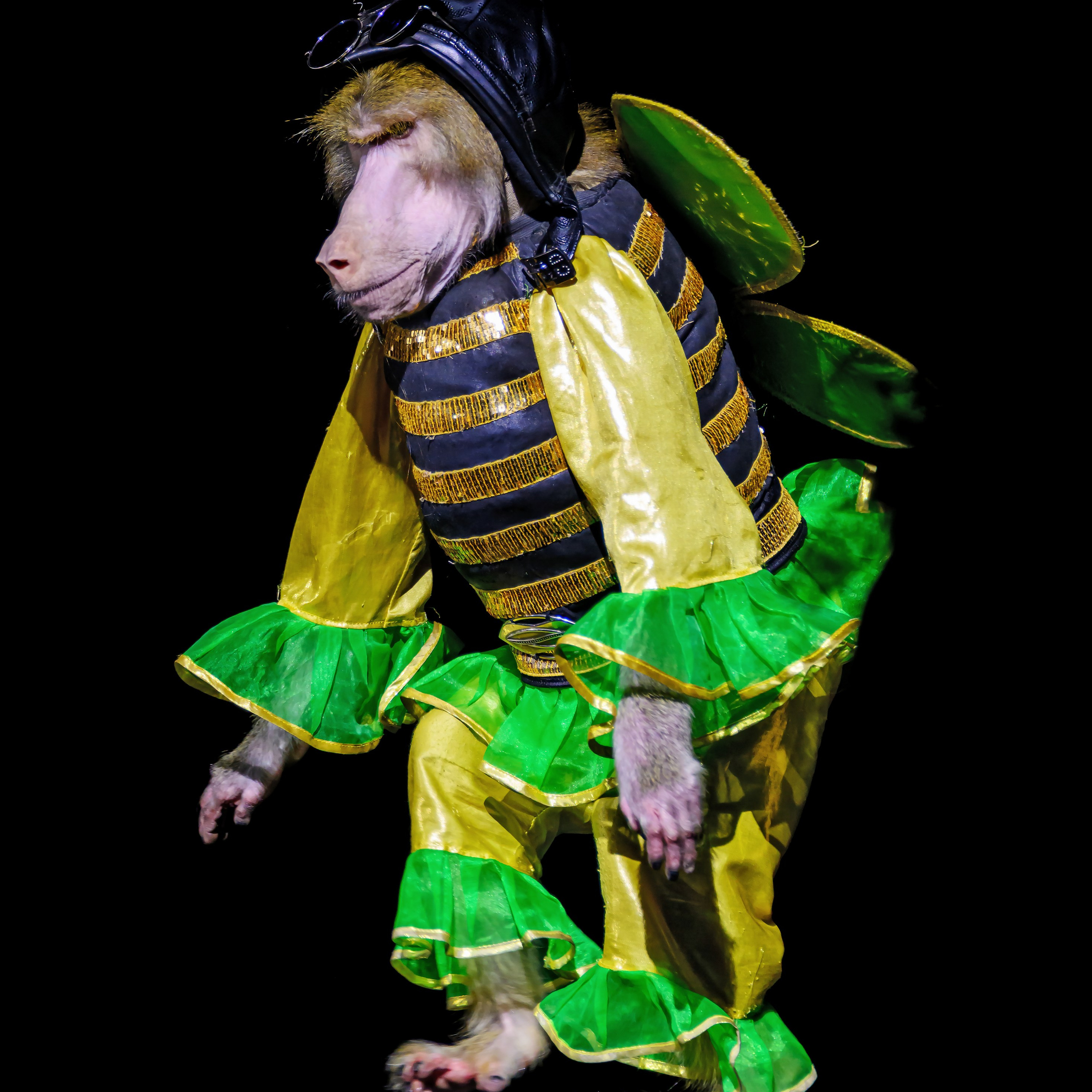 🎪 «Цирк на воде💦 🏰Царство фонтанов**»✨🌊🎭. Фотограф Андрей Пухов (Jazz)