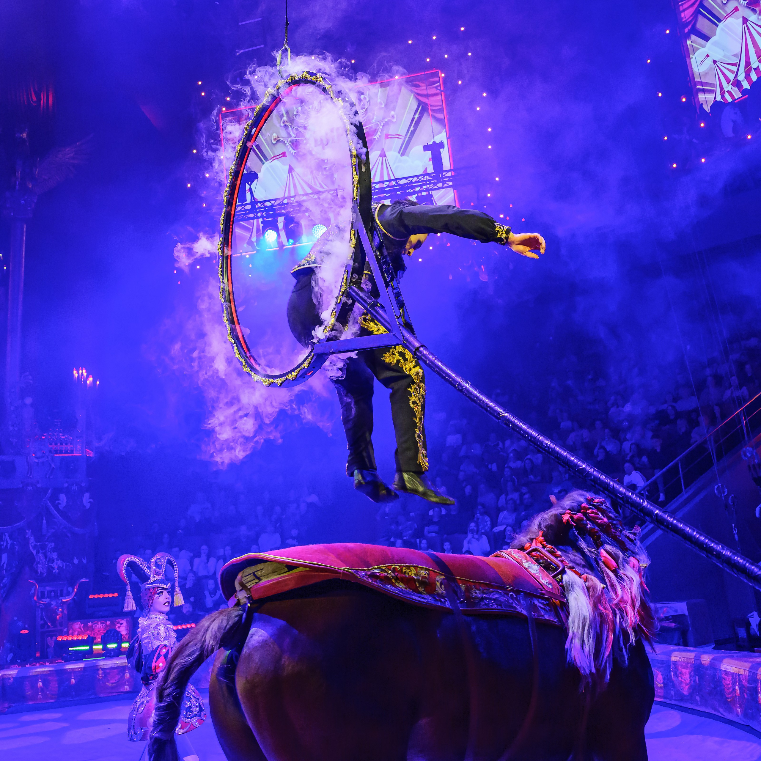 Royal Circus (новые номера). Фотограф Андрей Пухов (Jazz)