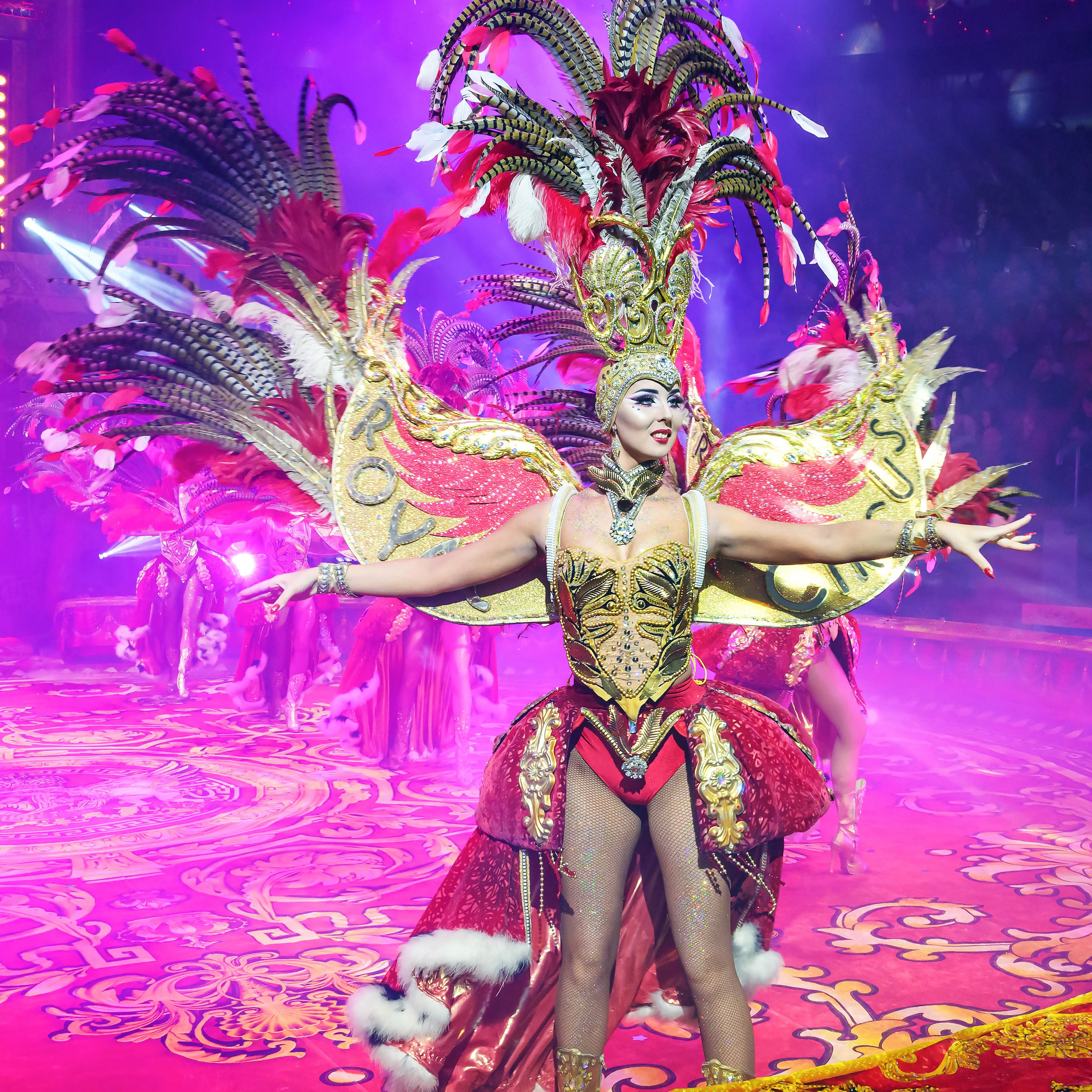 Шоу «Королевский цирк». Фотограф Андрей Пухов (Jazz)