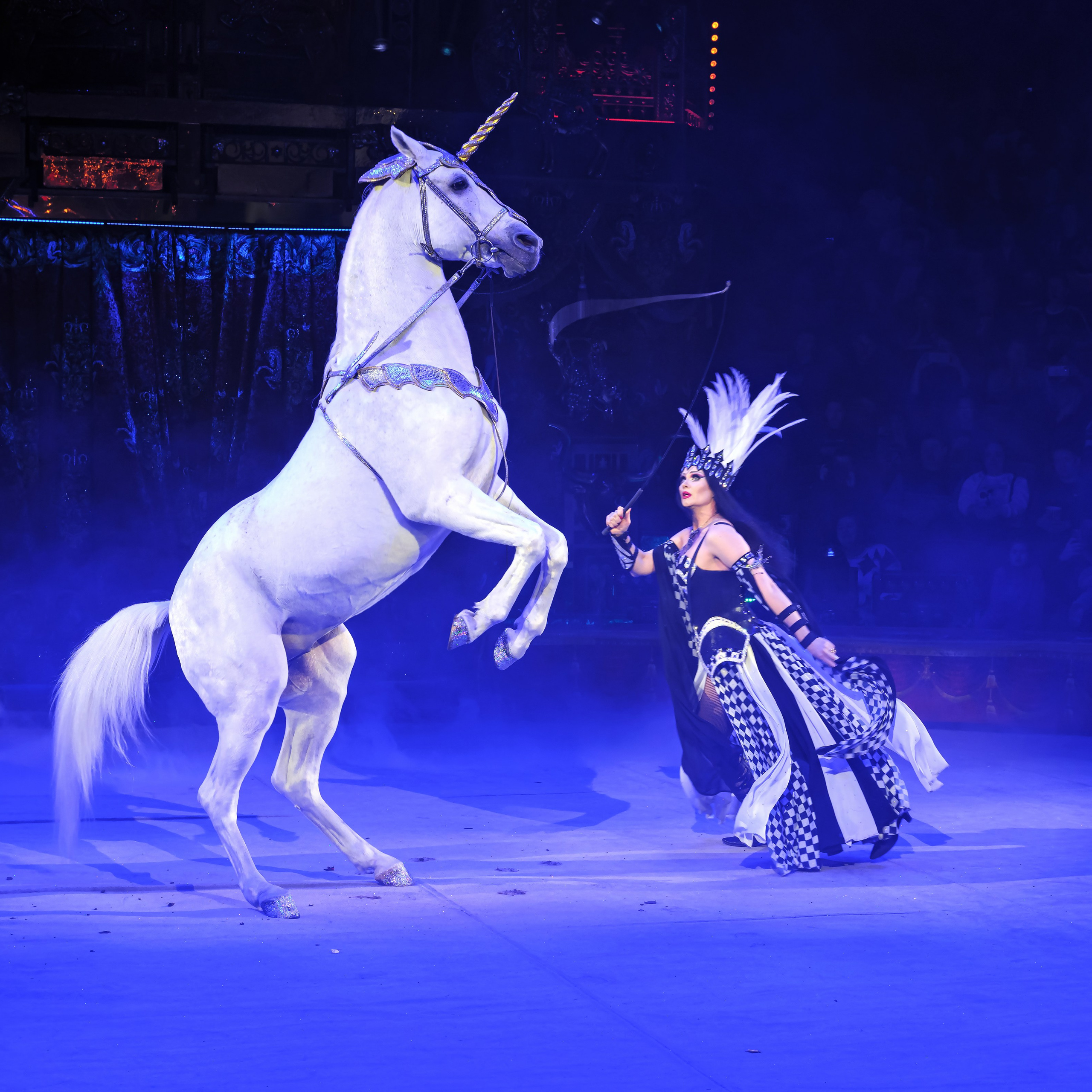 Шоу «Королевский цирк». Фотограф Андрей Пухов (Jazz)