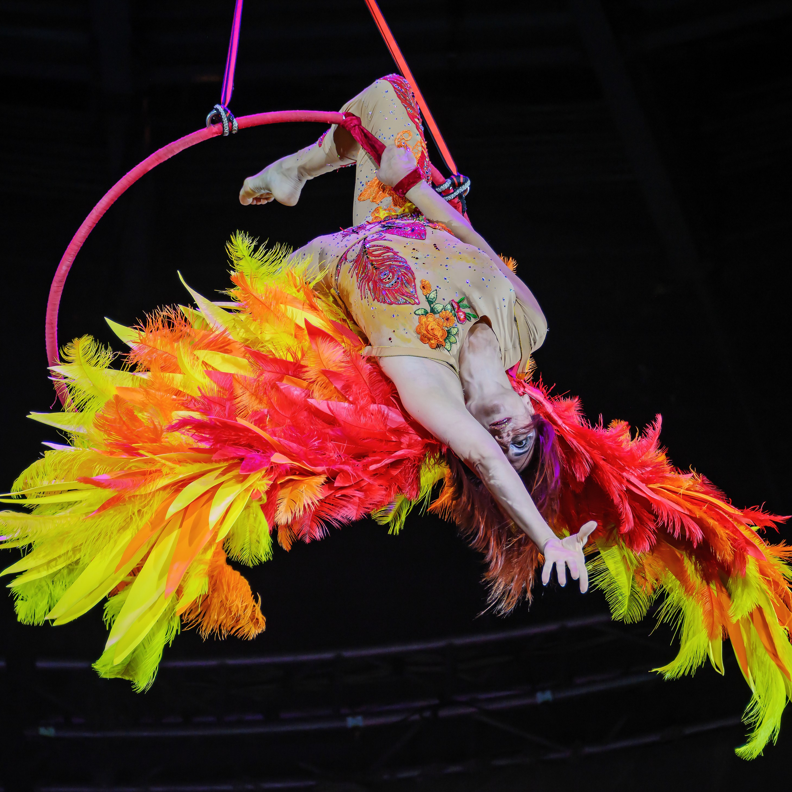 🎪 «Цирк на воде💦 🏰Царство фонтанов**»✨🌊🎭. Фотограф Андрей Пухов (Jazz)