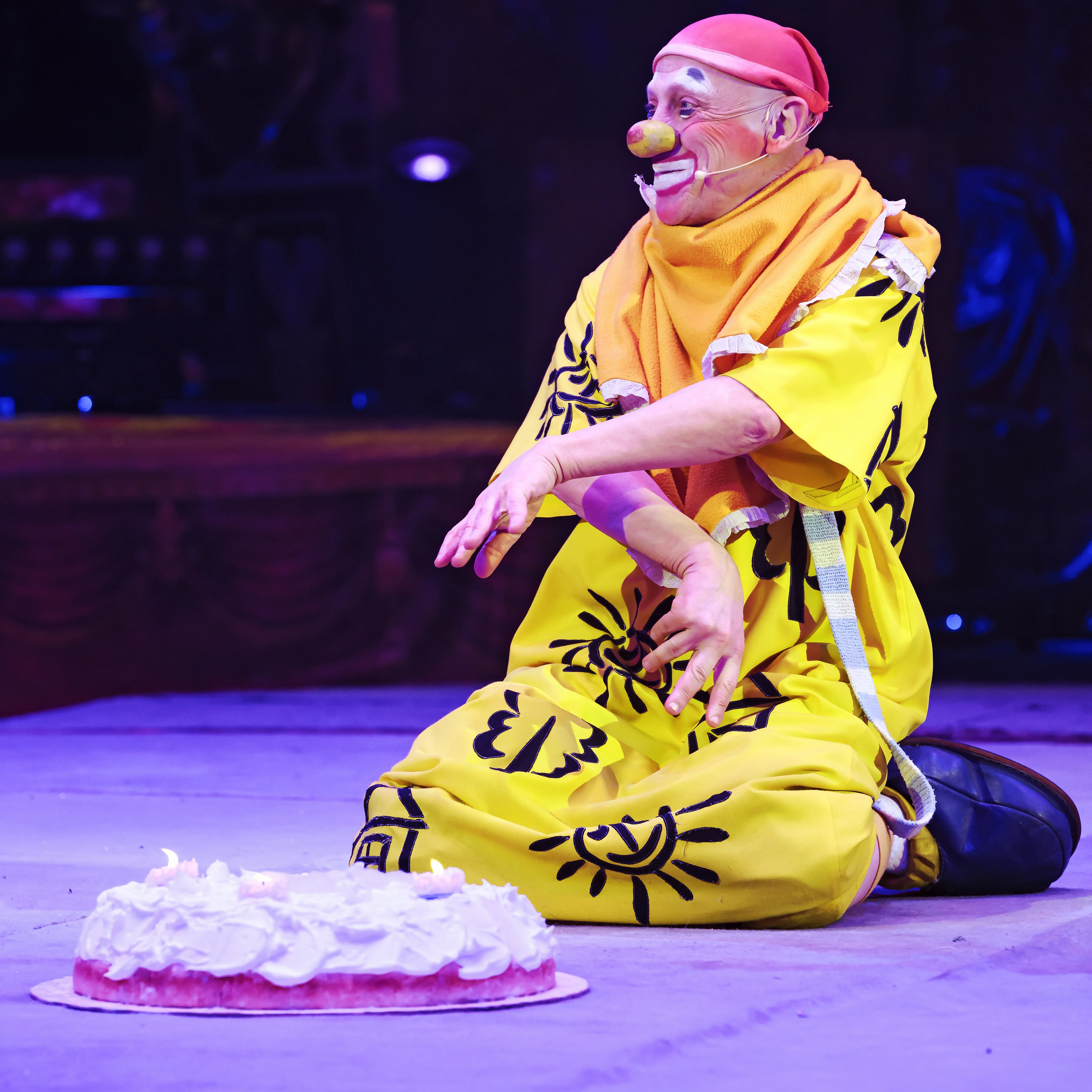 Шоу «Королевский цирк». Фотограф Андрей Пухов (Jazz)