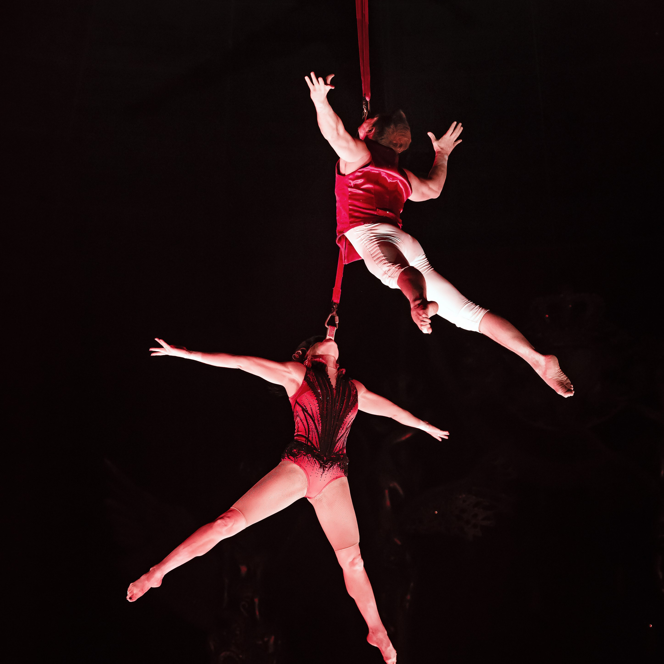 Королевский цирк ПРЕМЬЕРА НН. Фотограф Андрей Пухов (Jazz)