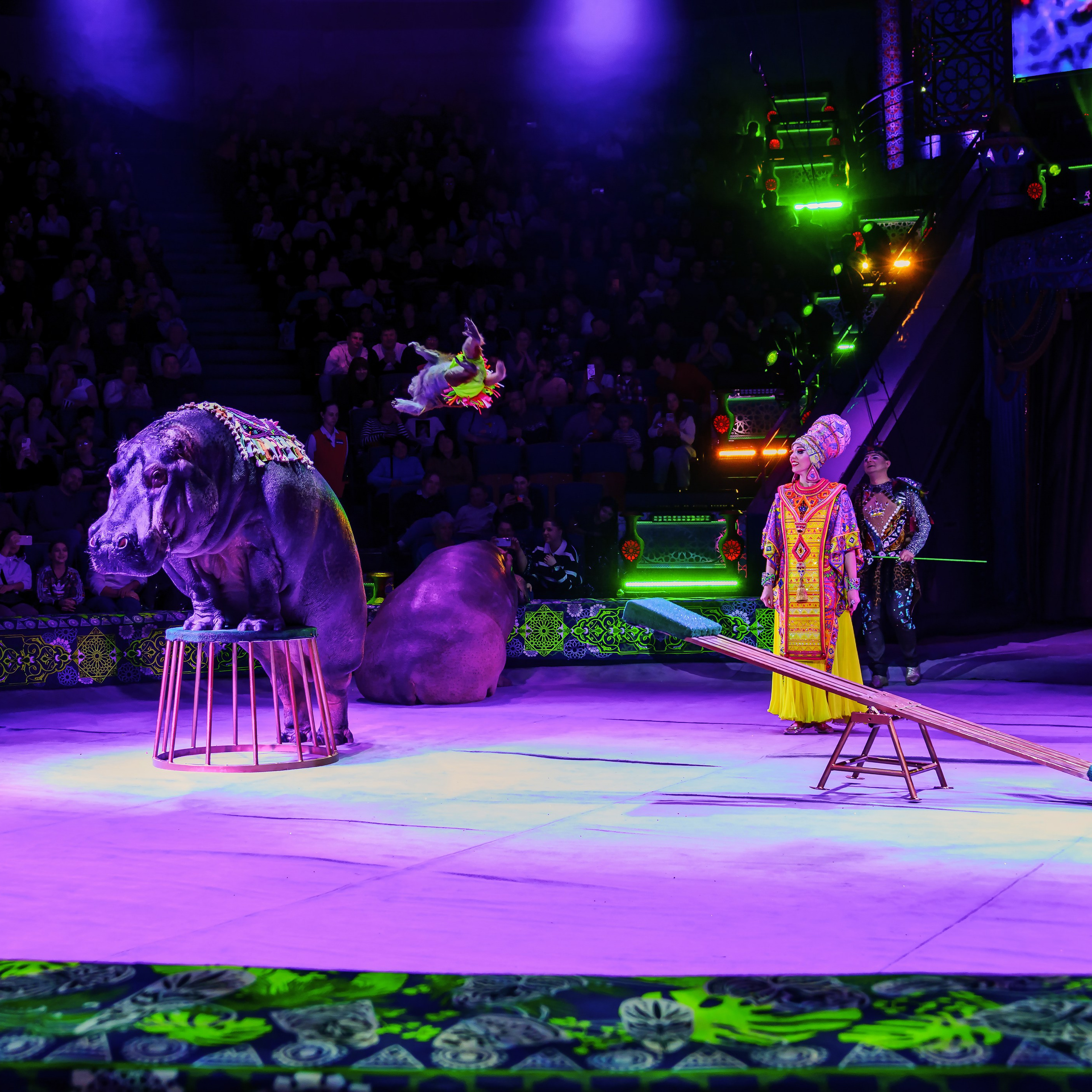 Песчаная сказка Гии Эрадзе — волшебное шоу 🎪, которое должен увидеть каждый, кто ценит красоту🌹, талант 🎭 и умение мечтать 💫. Цирковой фотограф Андрей Пухов (Jazz)