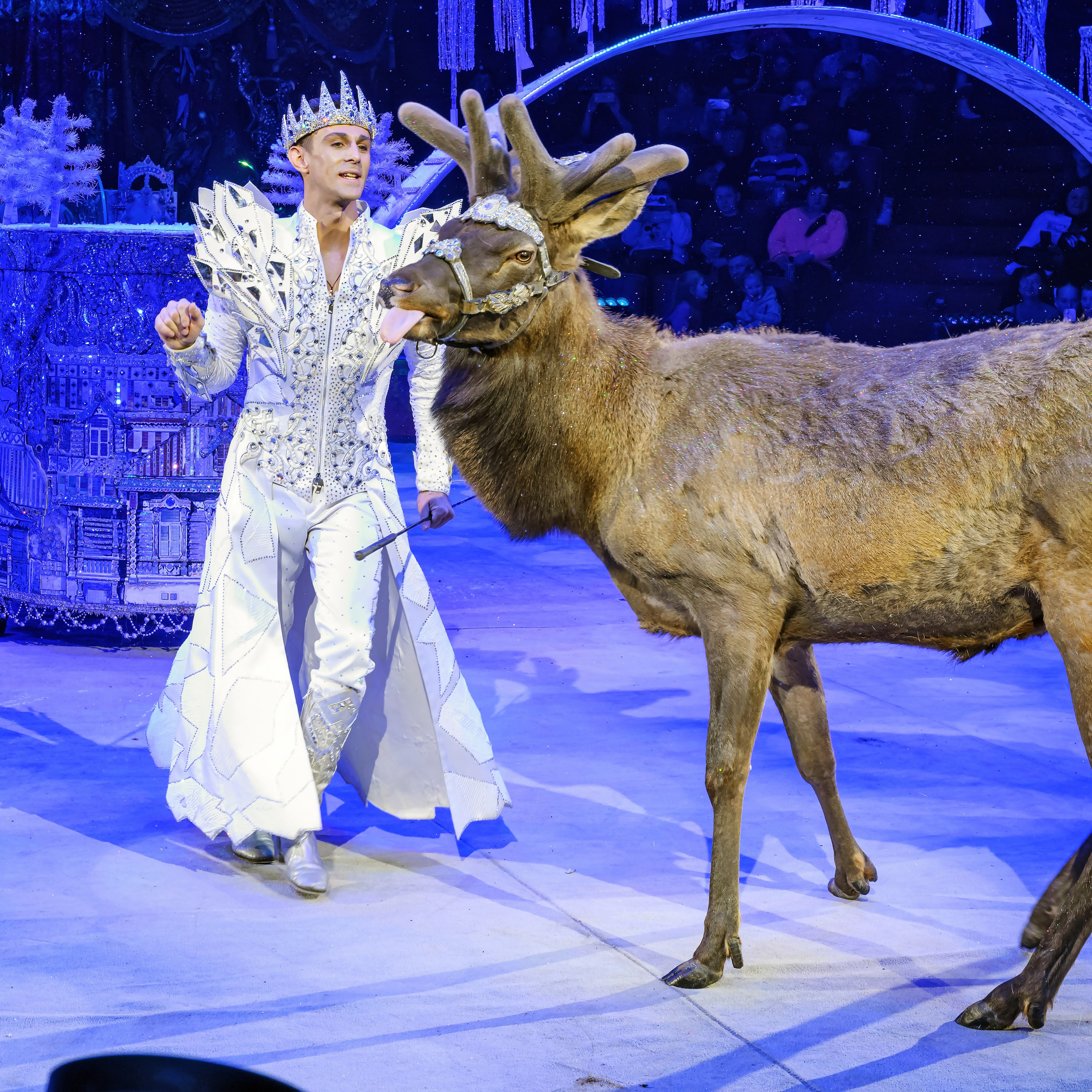 Шоу «Королевский цирк». Фотограф Андрей Пухов (Jazz)