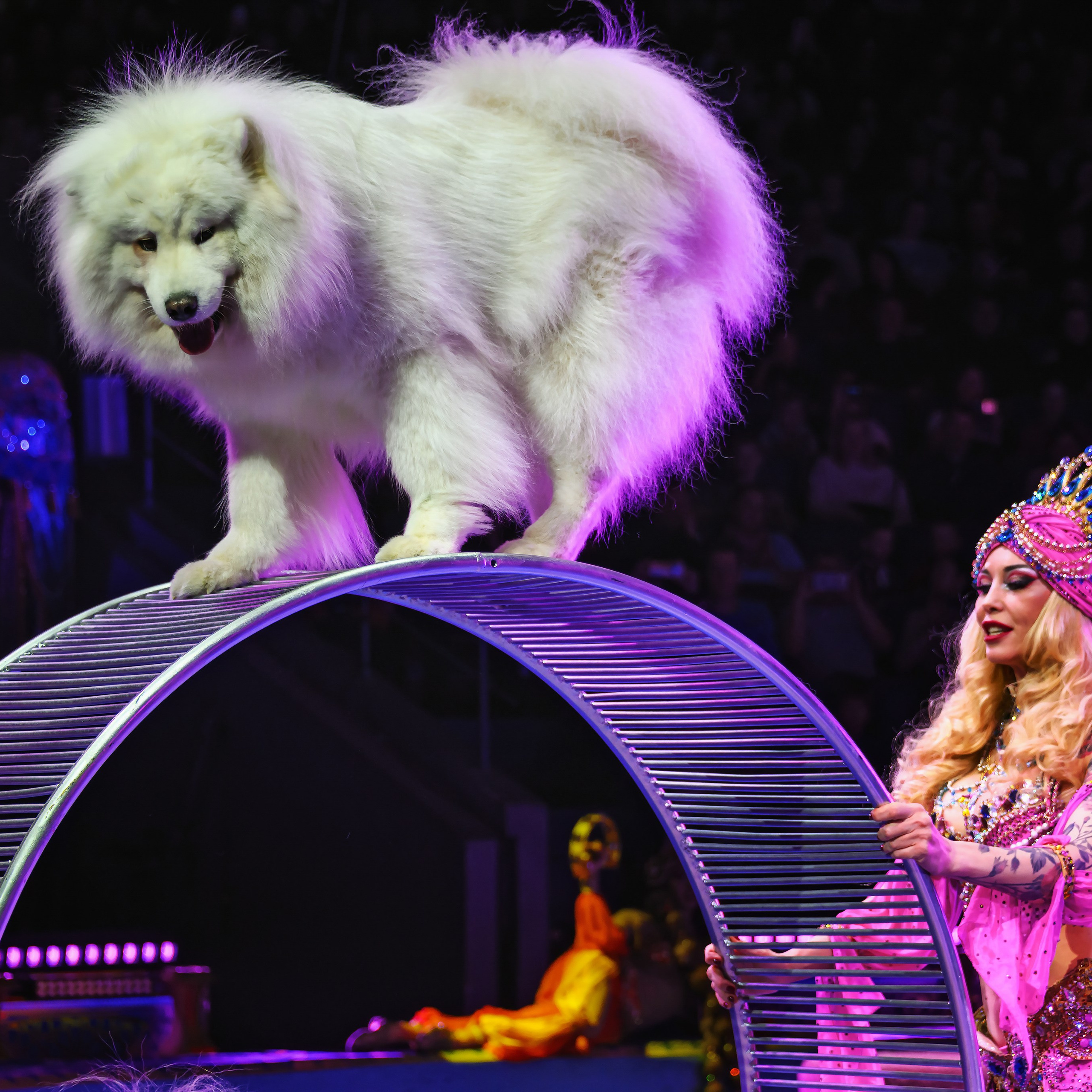 Песчаная сказка Гии Эрадзе — волшебное шоу 🎪, которое должен увидеть каждый, кто ценит красоту🌹, талант 🎭 и умение мечтать 💫. Цирковой фотограф Андрей Пухов (Jazz)
