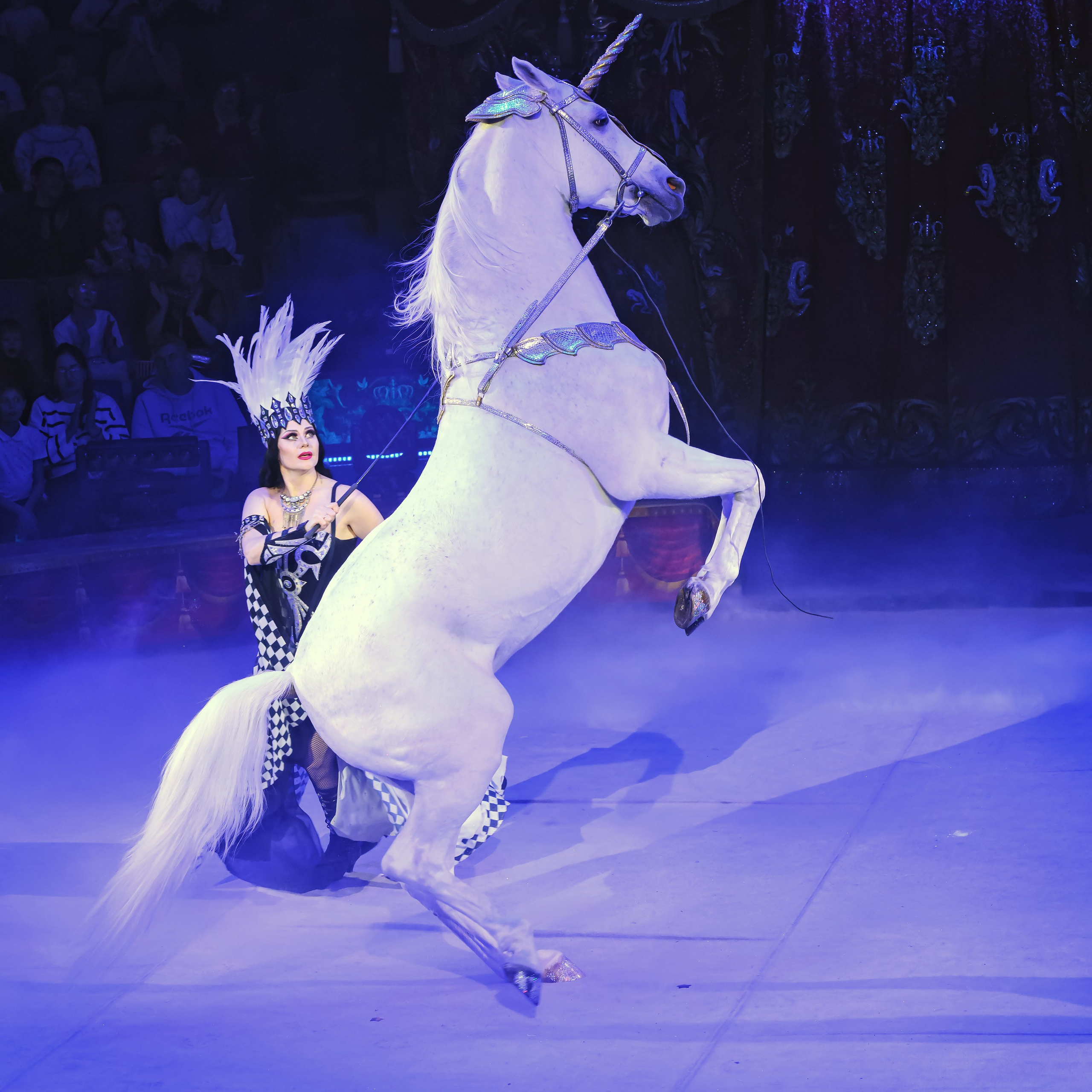 Королевский цирк ПРЕМЬЕРА НН. Фотограф Андрей Пухов (Jazz)