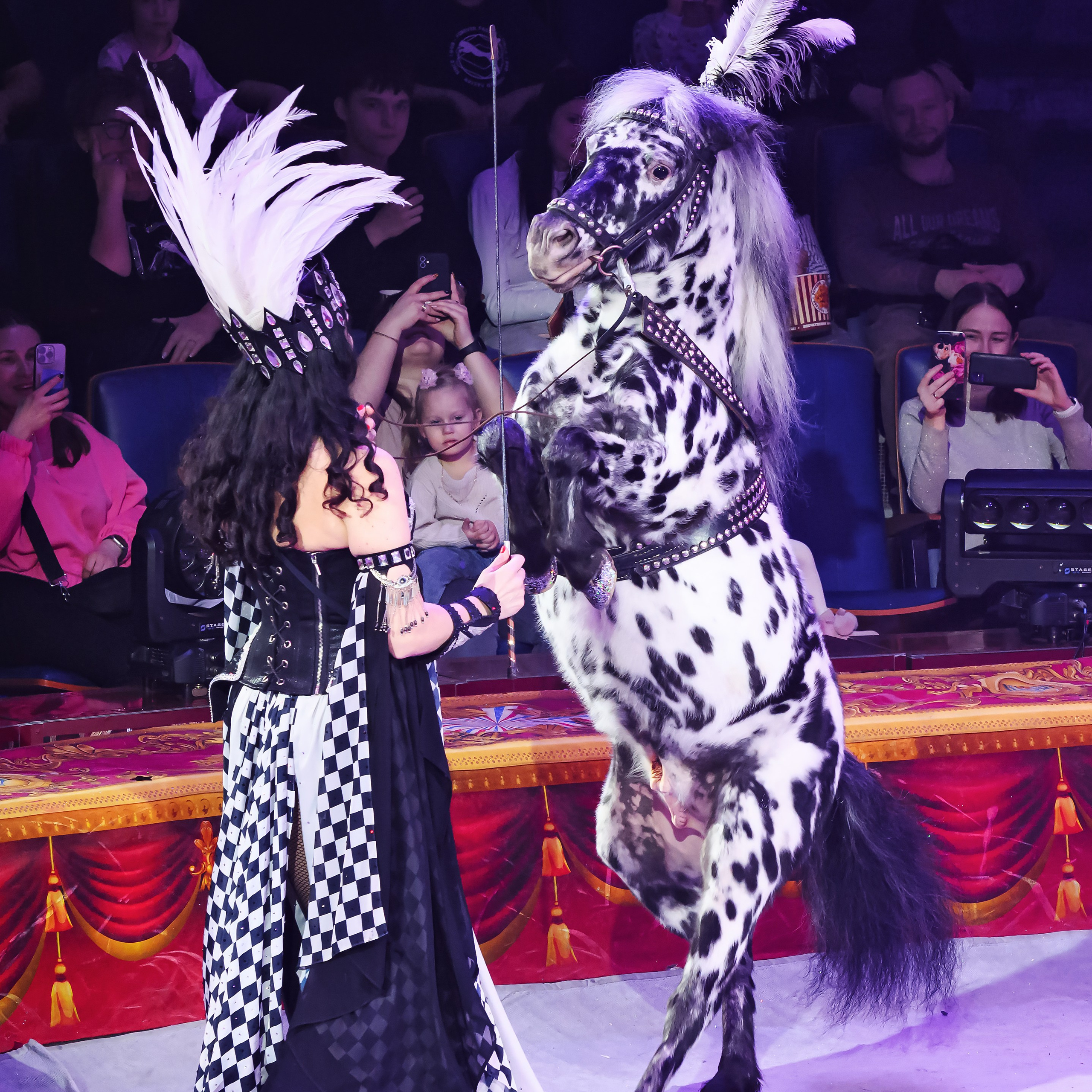 Королевский цирк ПРЕМЬЕРА НН. Фотограф Андрей Пухов (Jazz)